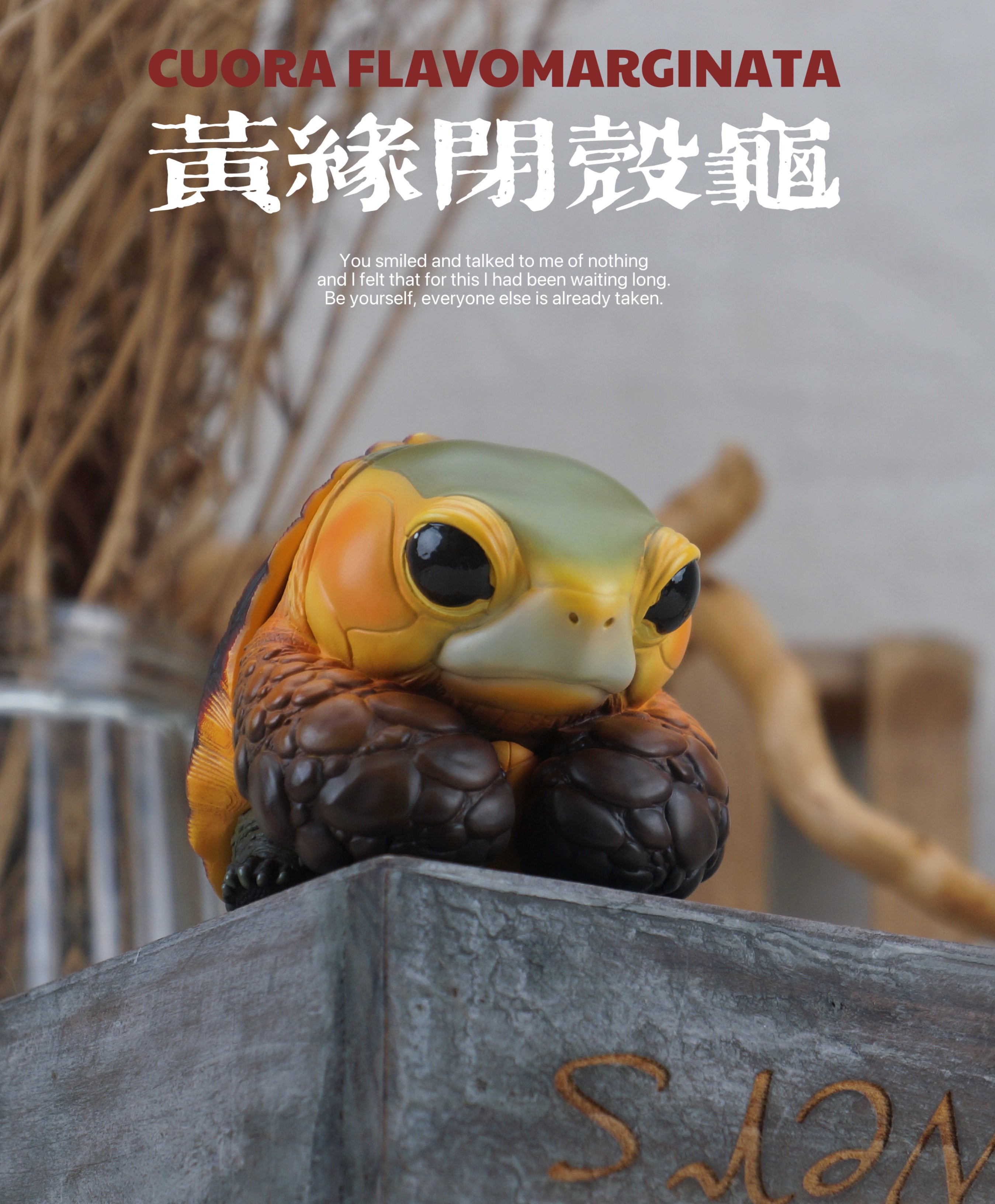 Turtle Model Pet Animal Figure
