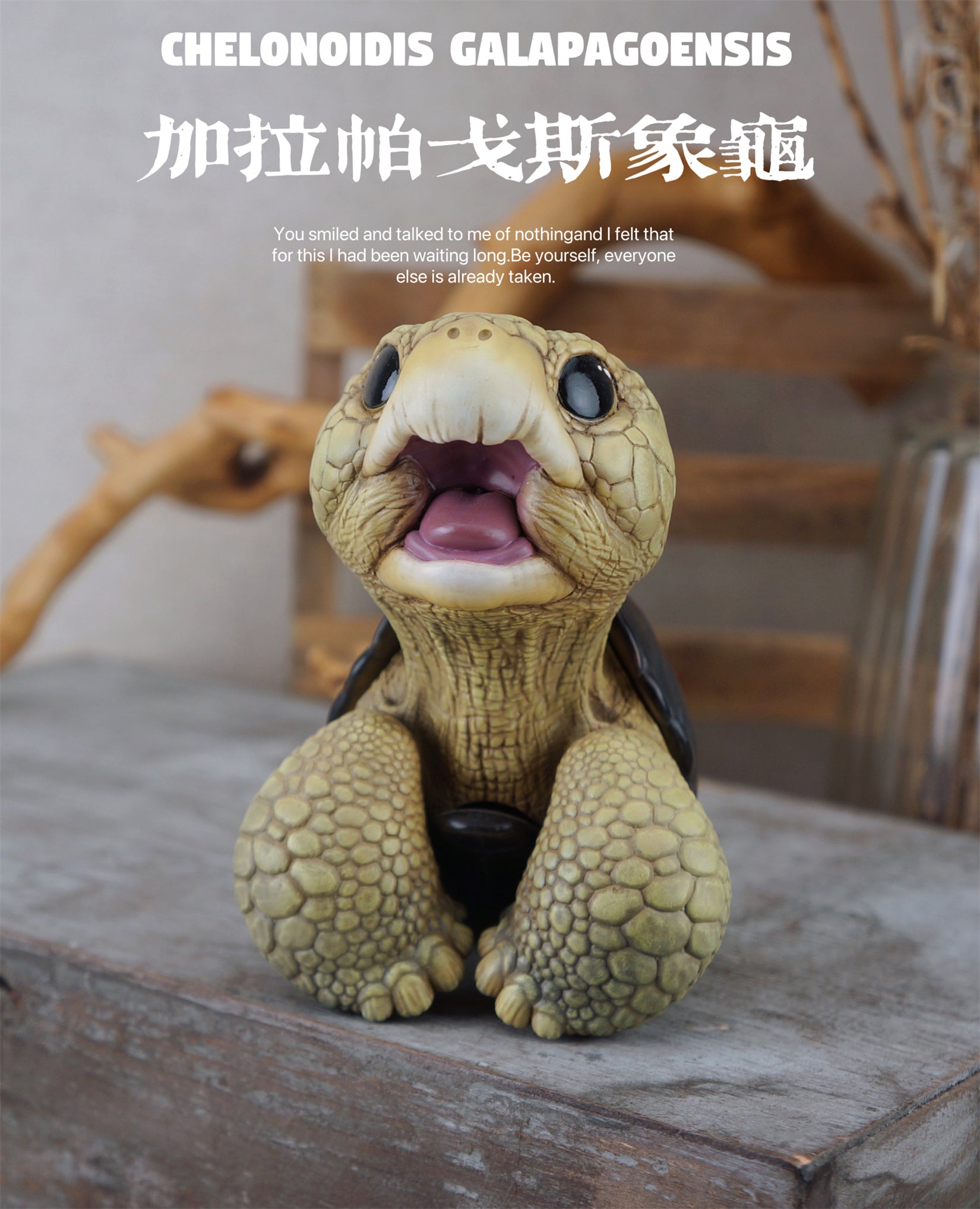 BOWUZHI Studio Geochelone Carbonaria & Chelonoidis Galapagoensis Model