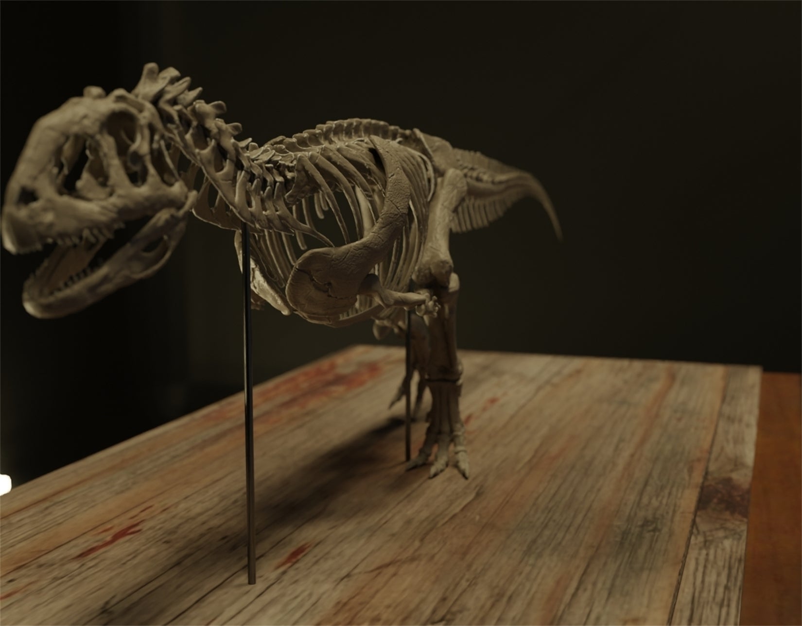 Nova Studio 1/6 Scale Majungasaurus crenatissimus keleton Model