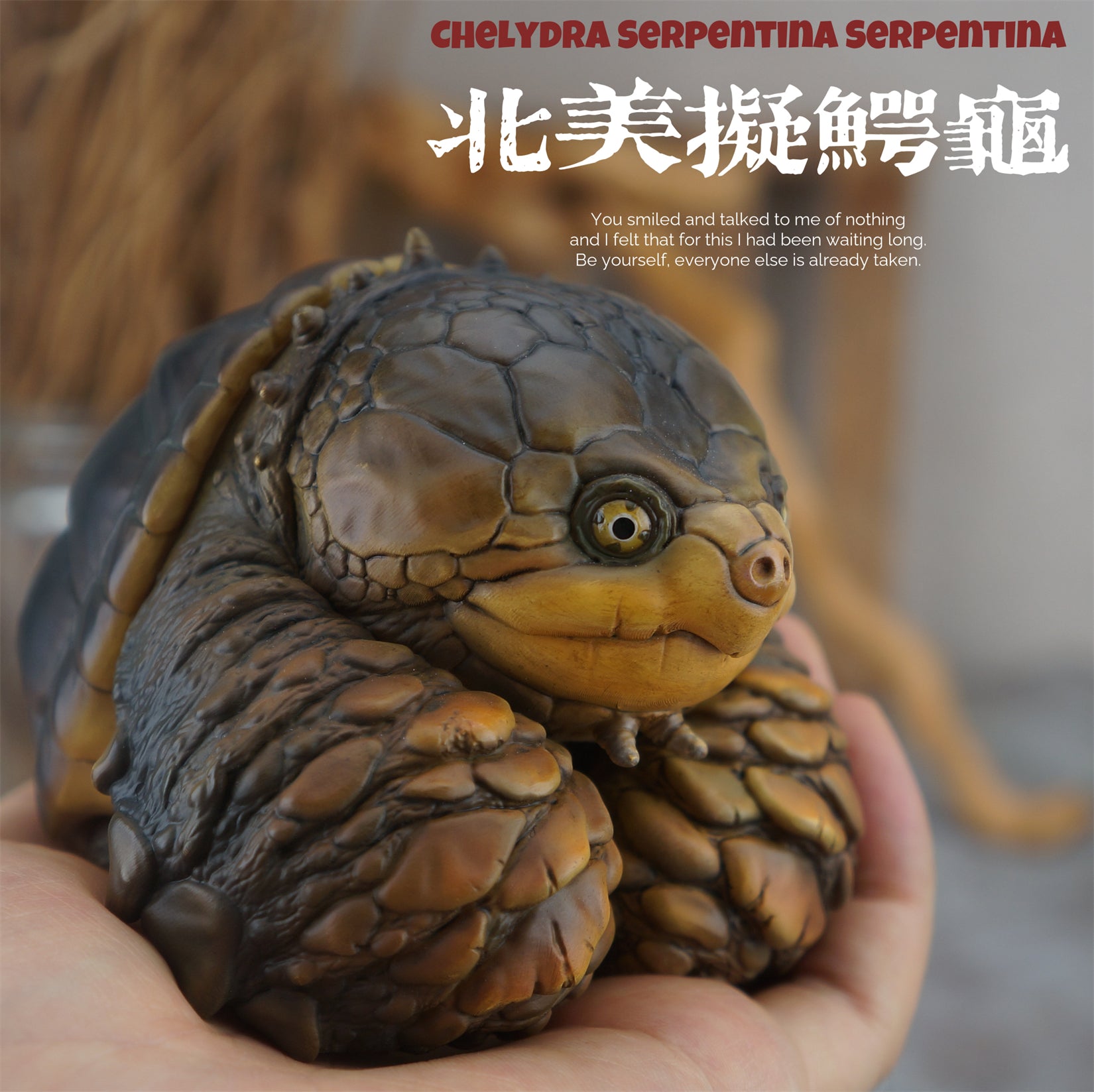 Common Snapping Turtle‌ & Ploughshare Tortoise‌ Figure