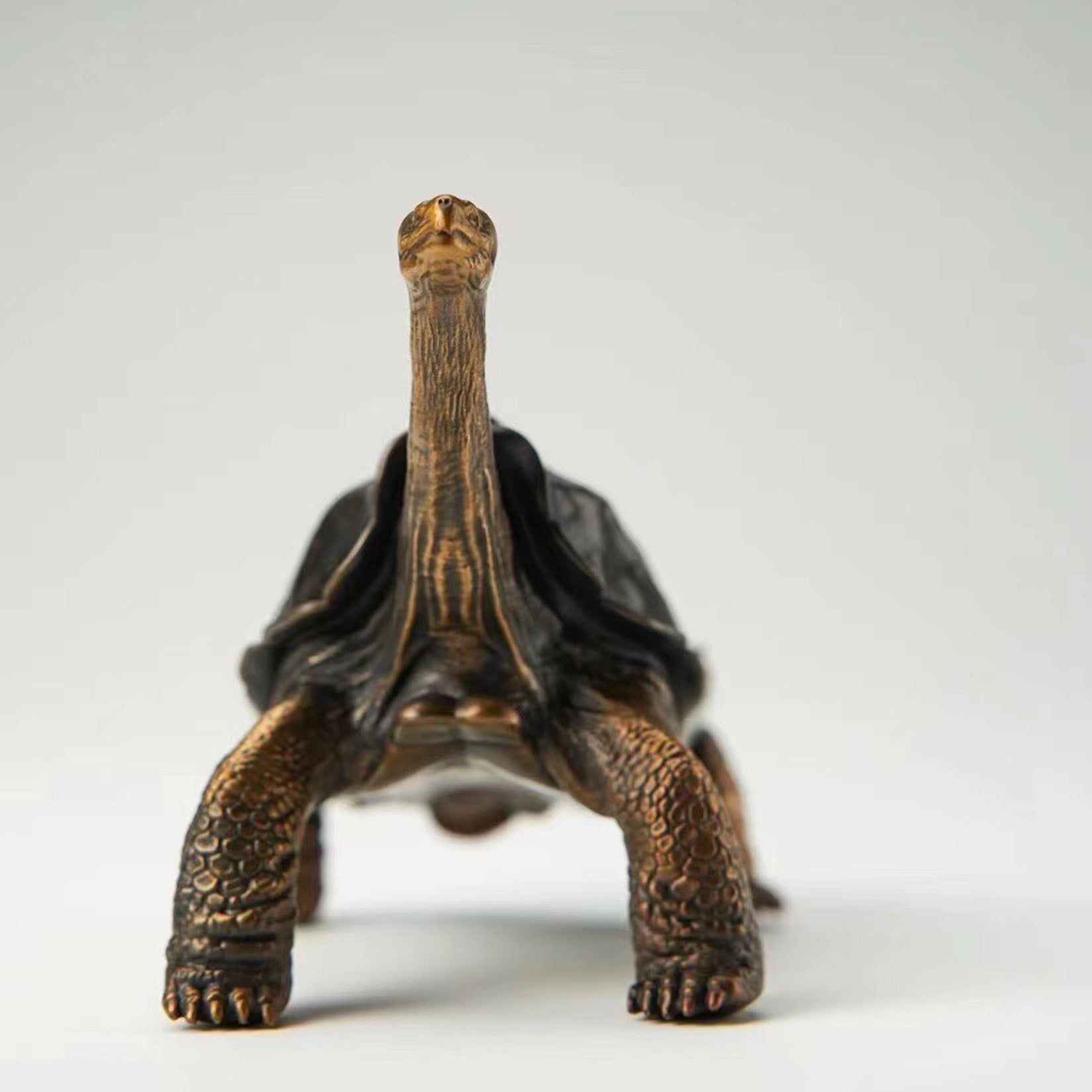 BOWUZHI Studio ‌Galapagos Giant Tortoise Figure