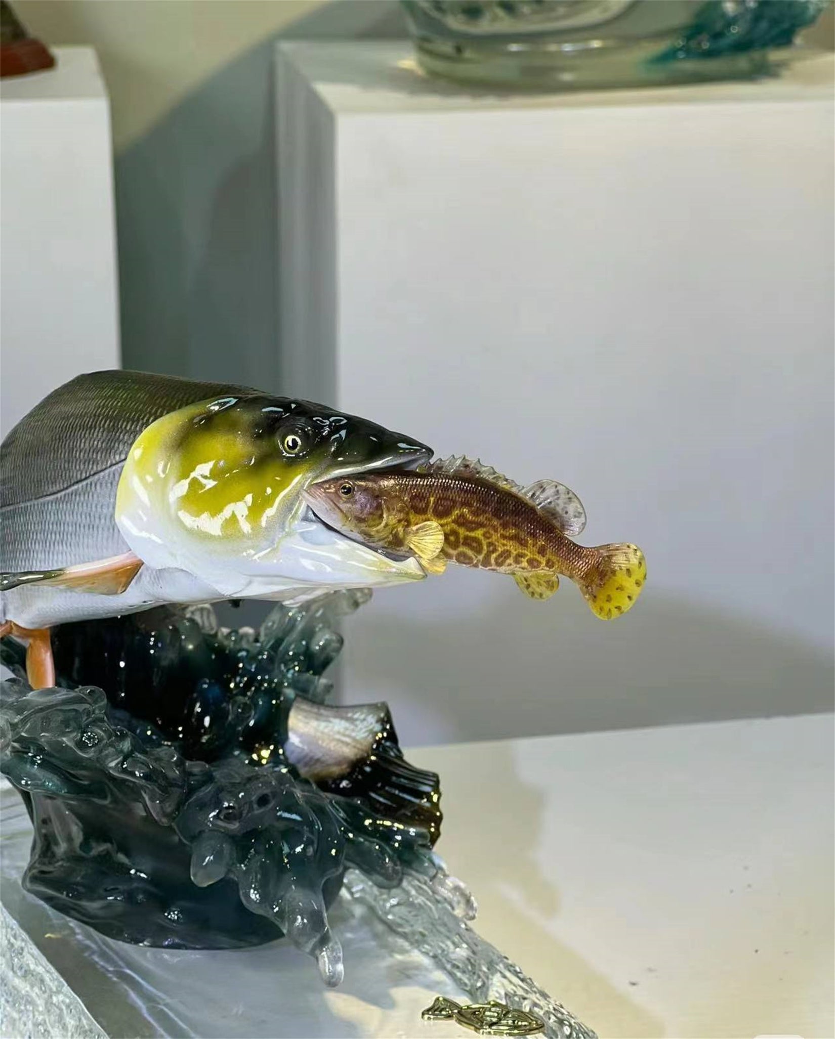 Elopichthys Bambusa Model