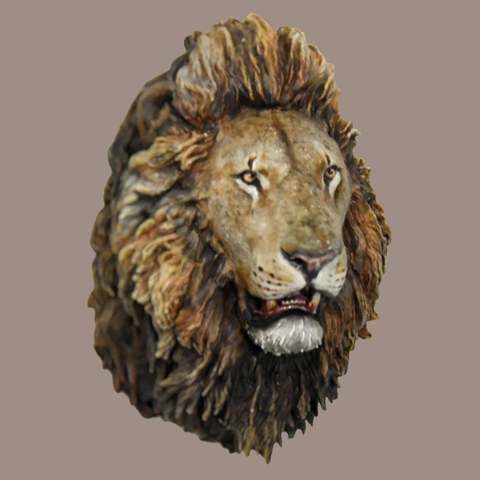 Schildkröten-Serie Tiermodell 