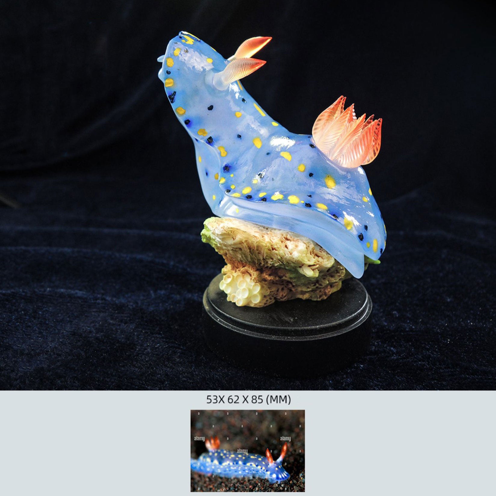 Sea Sprite 03 Series Model