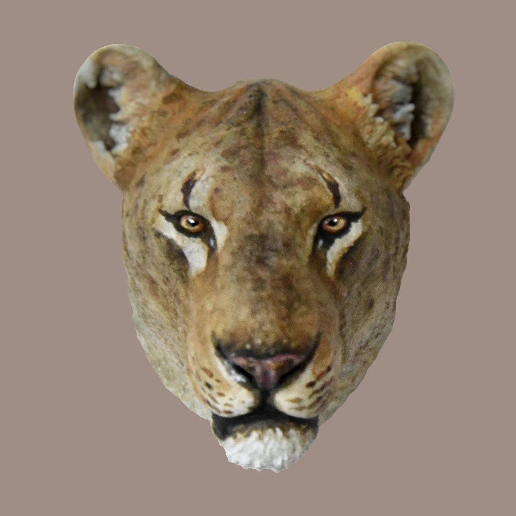 Schildkröten-Serie Tiermodell 