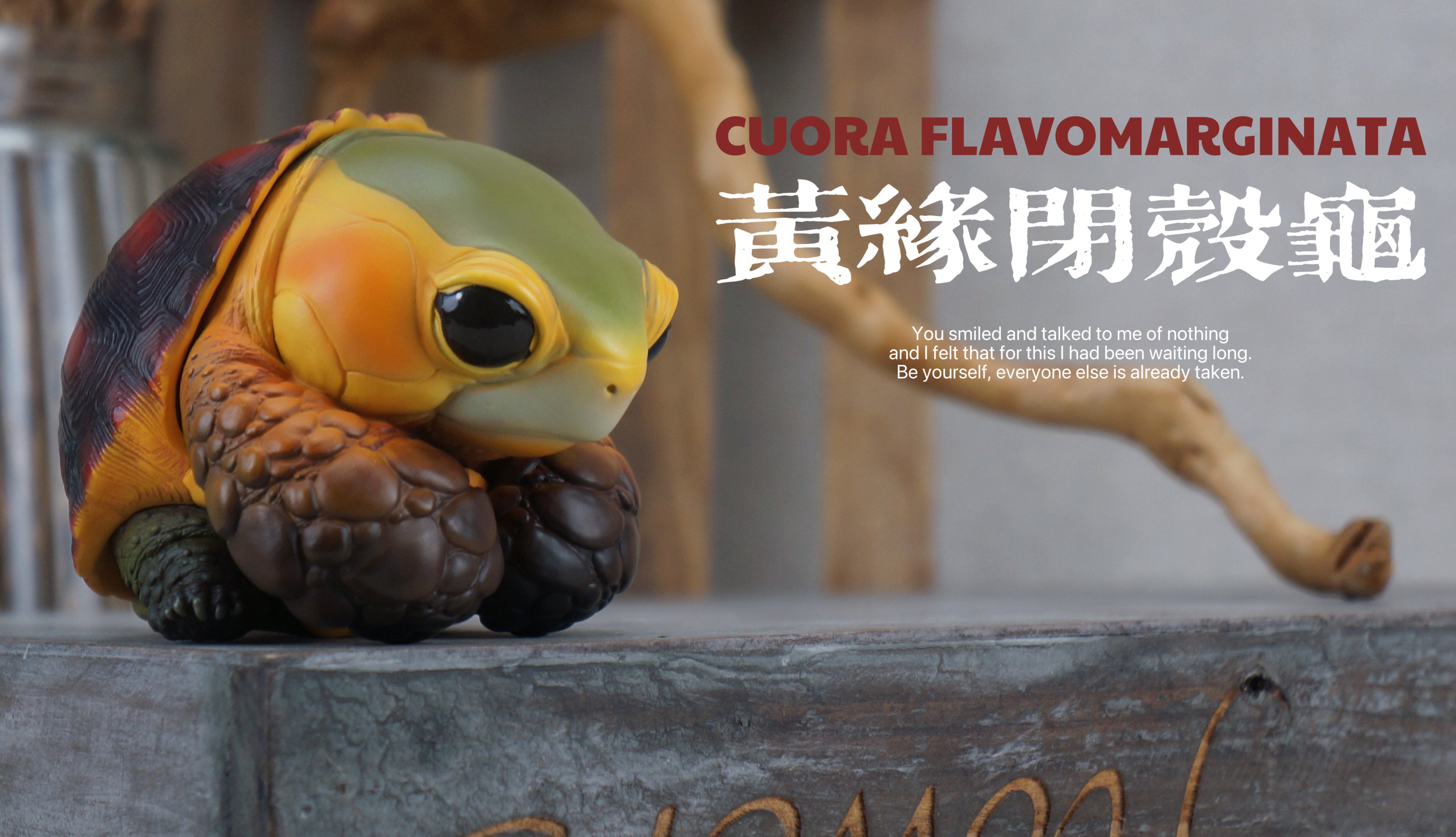 Turtle Model Pet Animal Figure