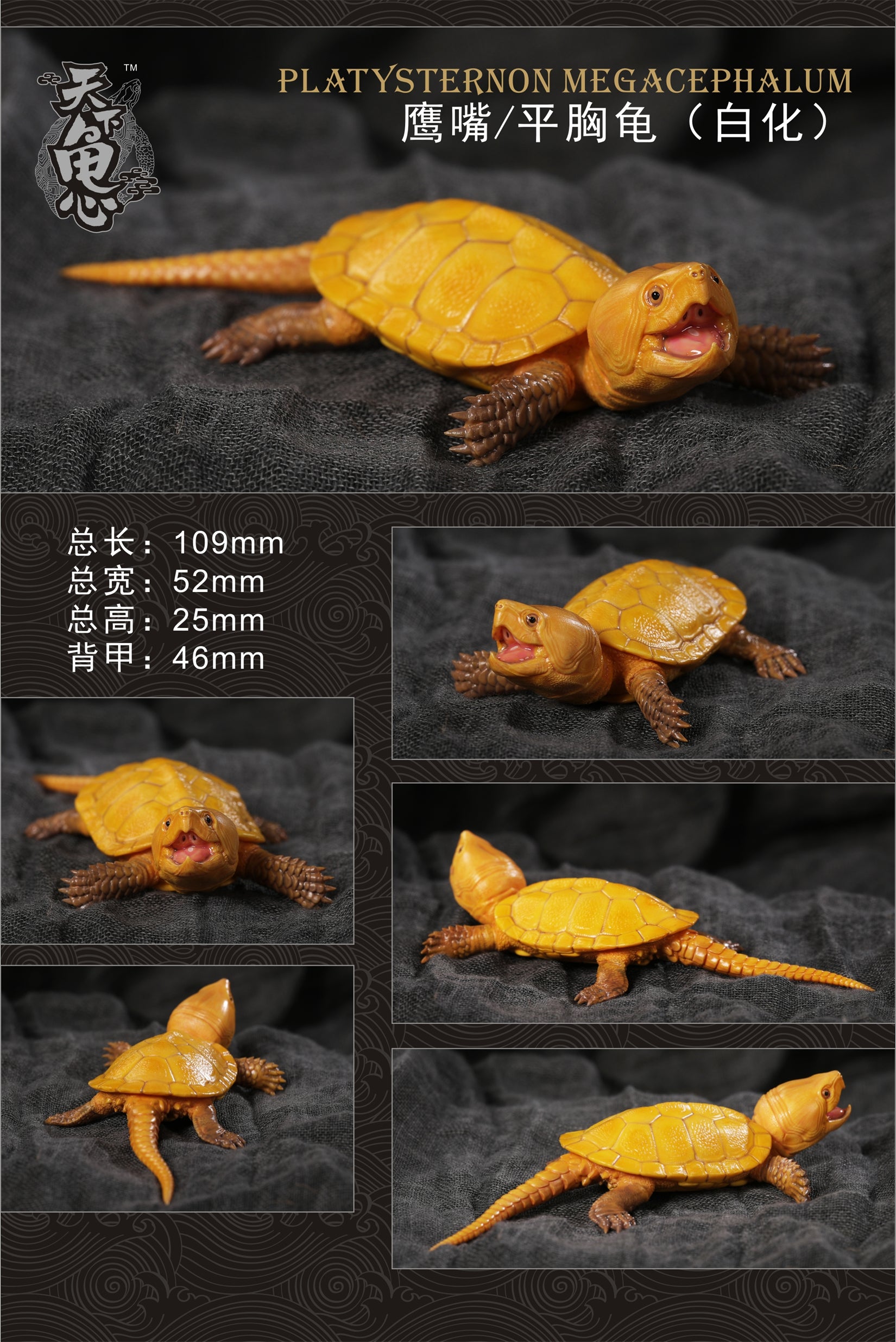 Turtle Model Series
