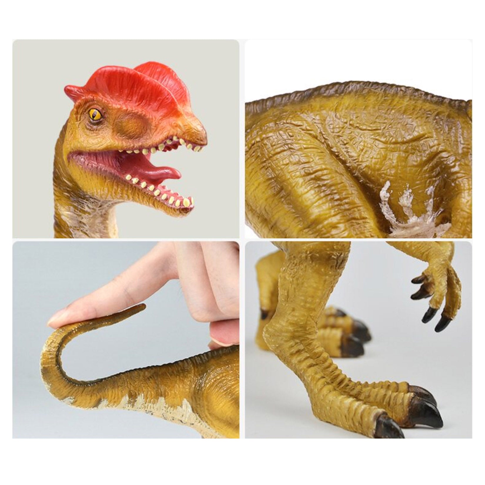 RECUR Dilophosaurus  Model
