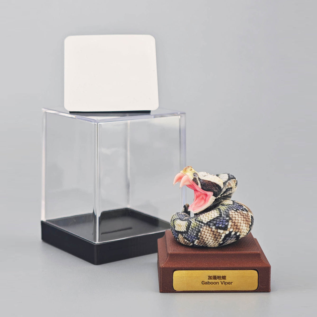 ViVid Studio Rhinoceros Viper & Gaboon Viper Model
