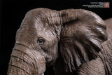 De CLAY Studio African Bush Elephant Scene Statue