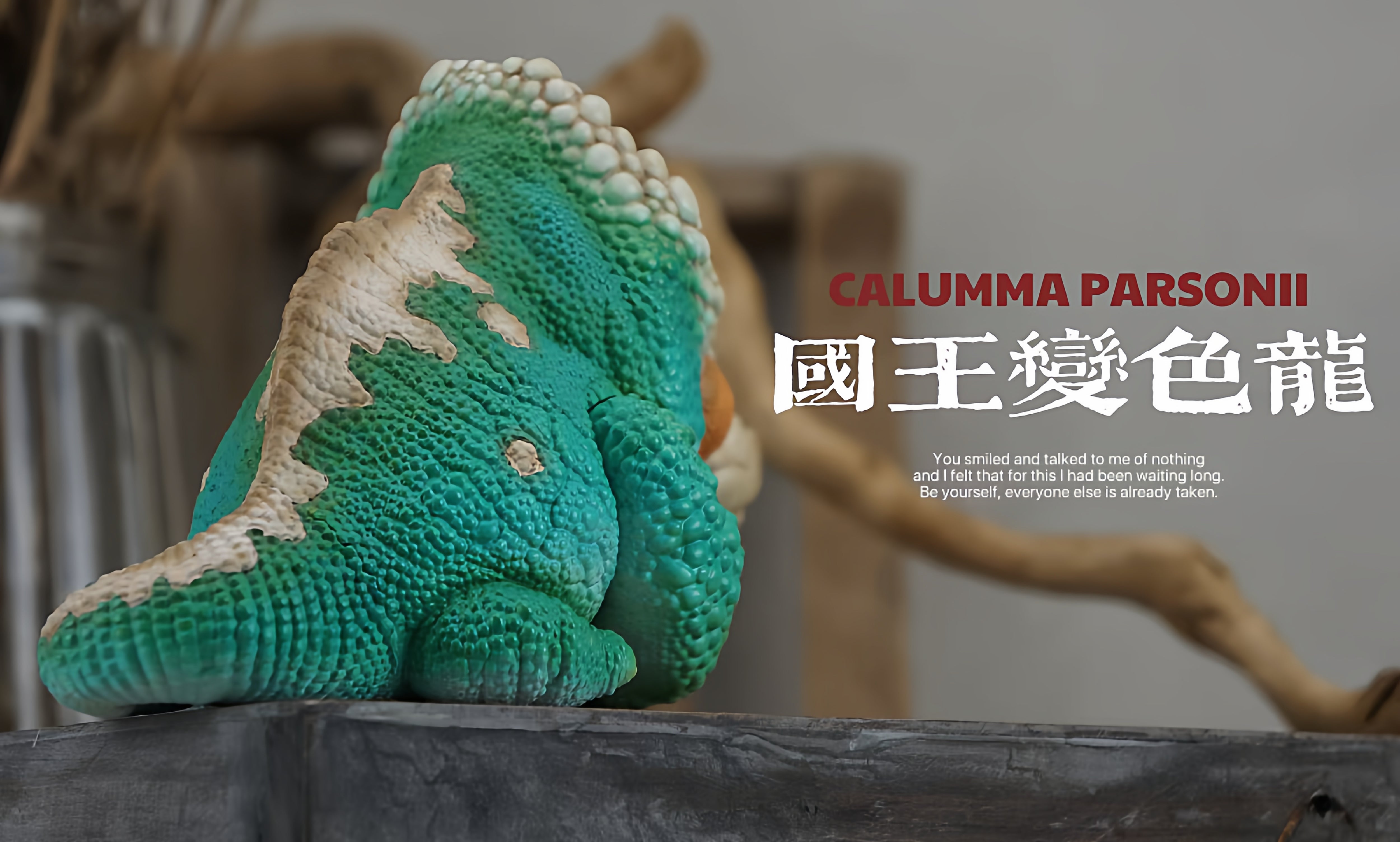 Chamaeleonidae Model Reptile Pet Animal Figure