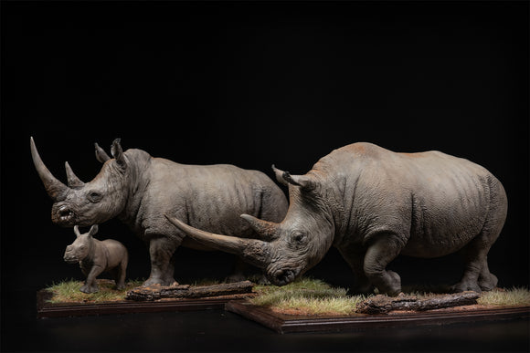 De CLAY Studio White rhinoceros Model