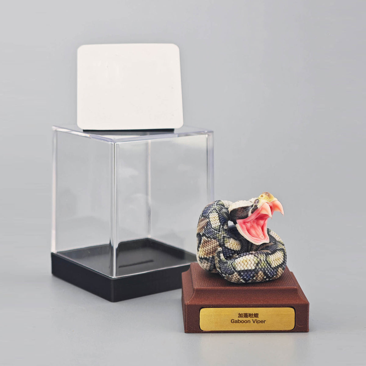 ViVid Studio Rhinoceros Viper & Gaboon Viper Model