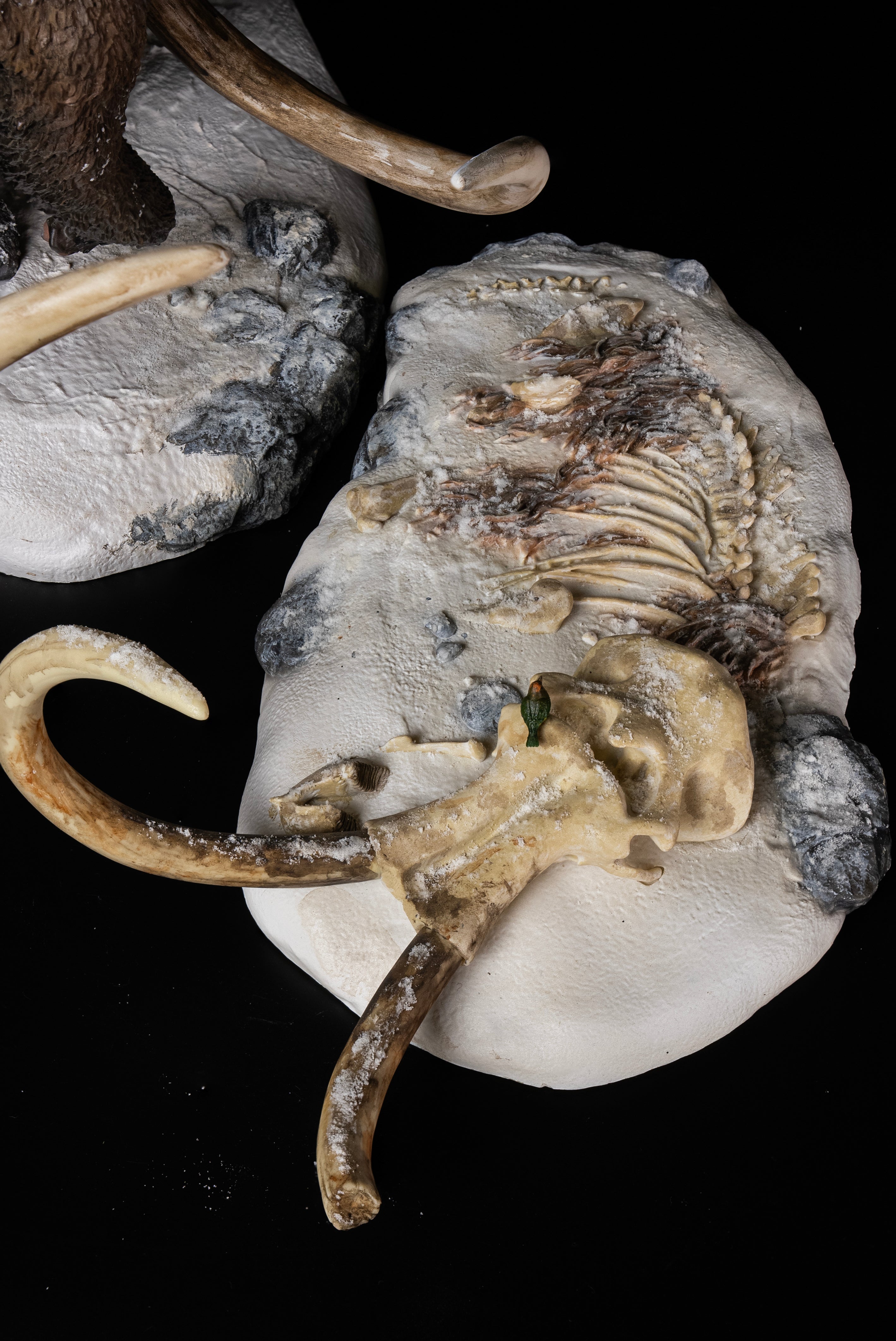 De CLAY Studio Woolly mammoth Model