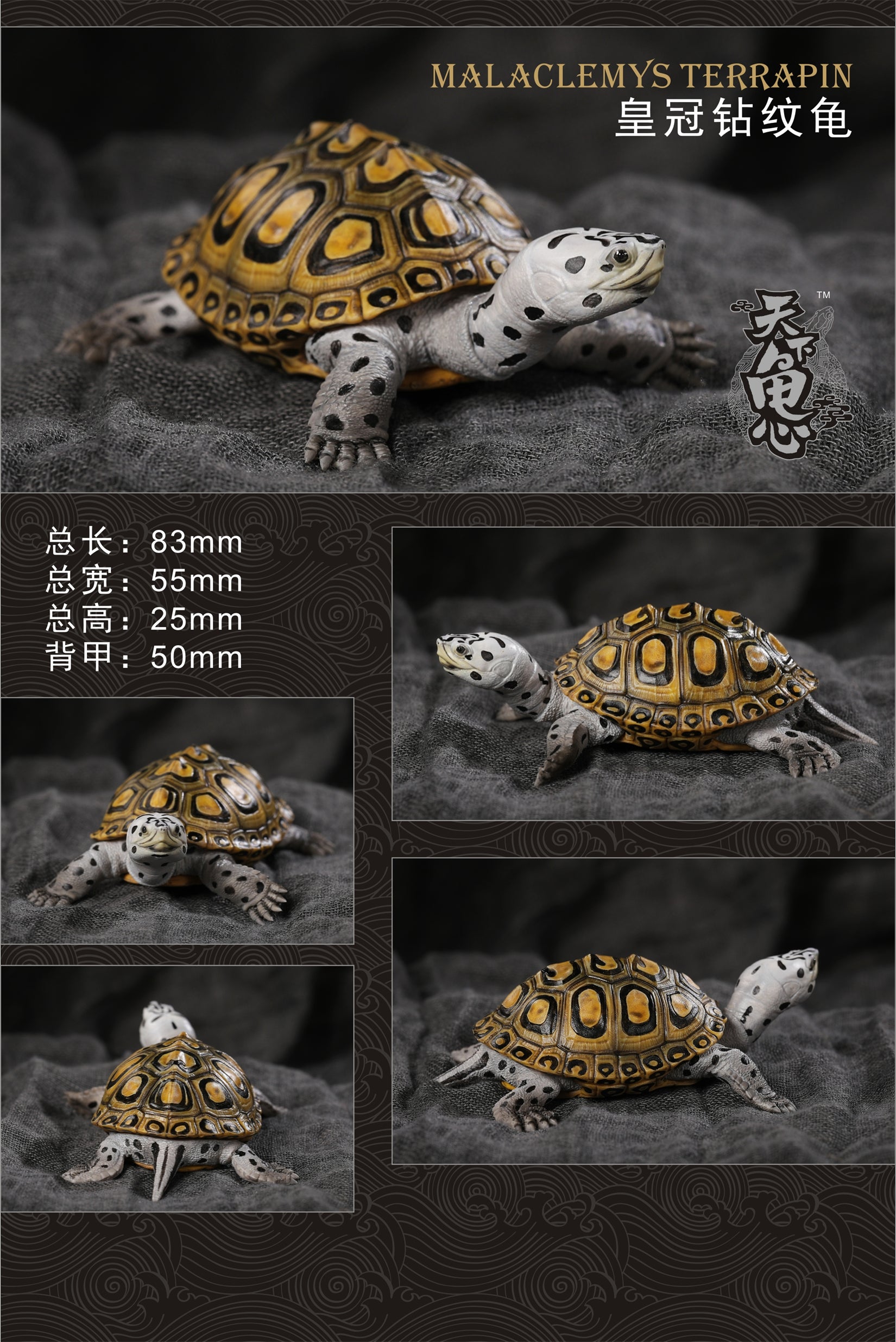 Turtle Model Series