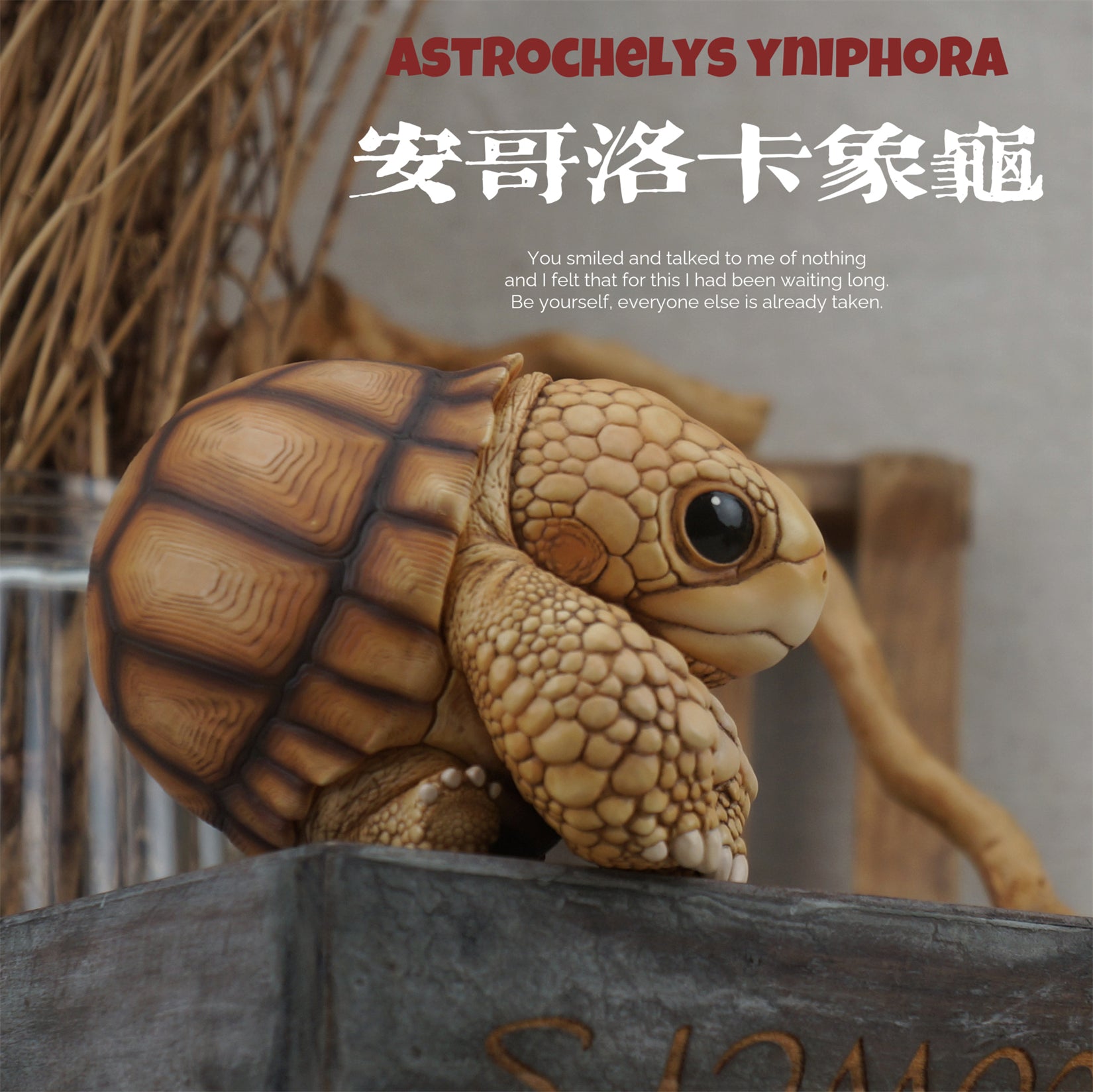 Common Snapping Turtle‌ & Ploughshare Tortoise‌ Figure