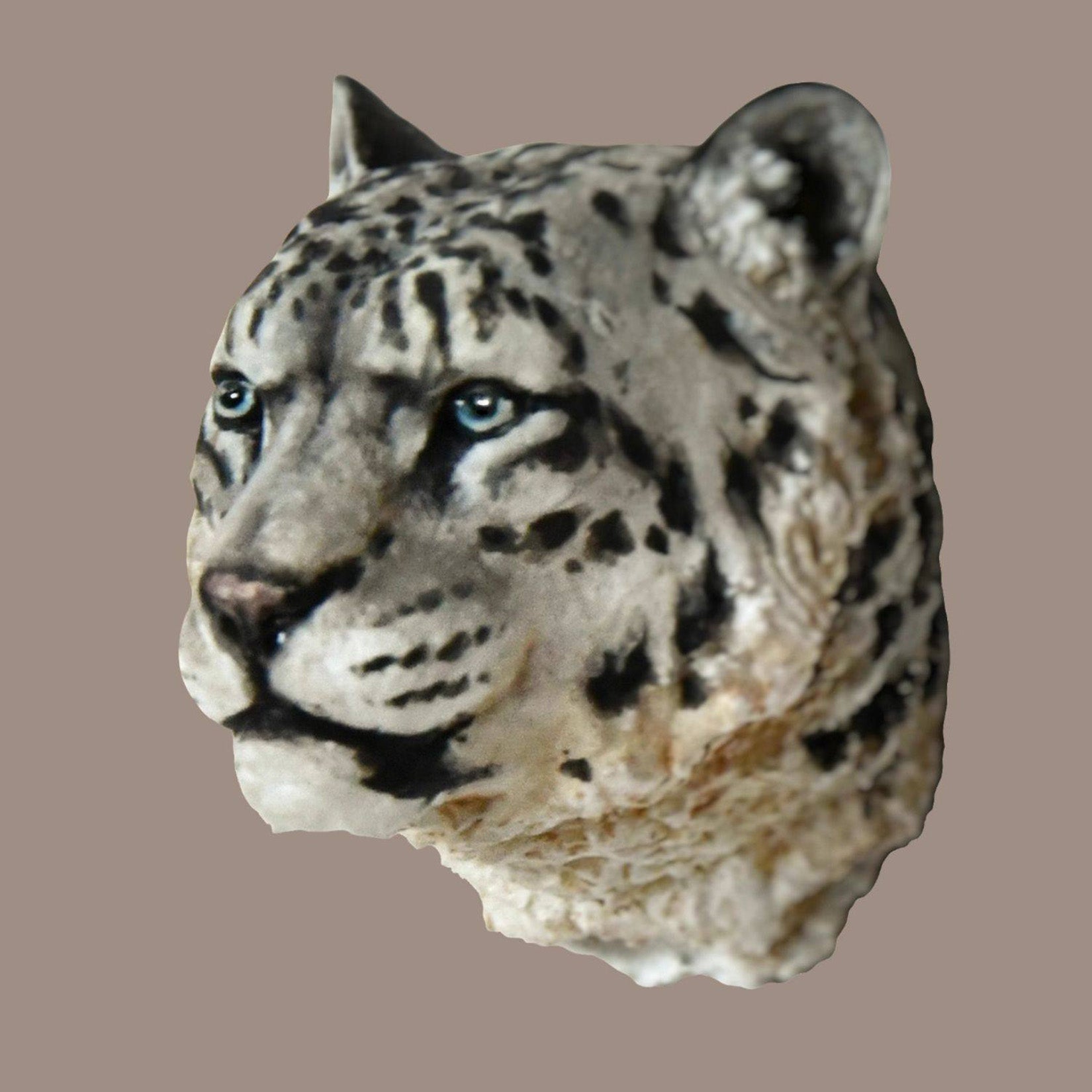 Schildkröten-Serie Tiermodell 