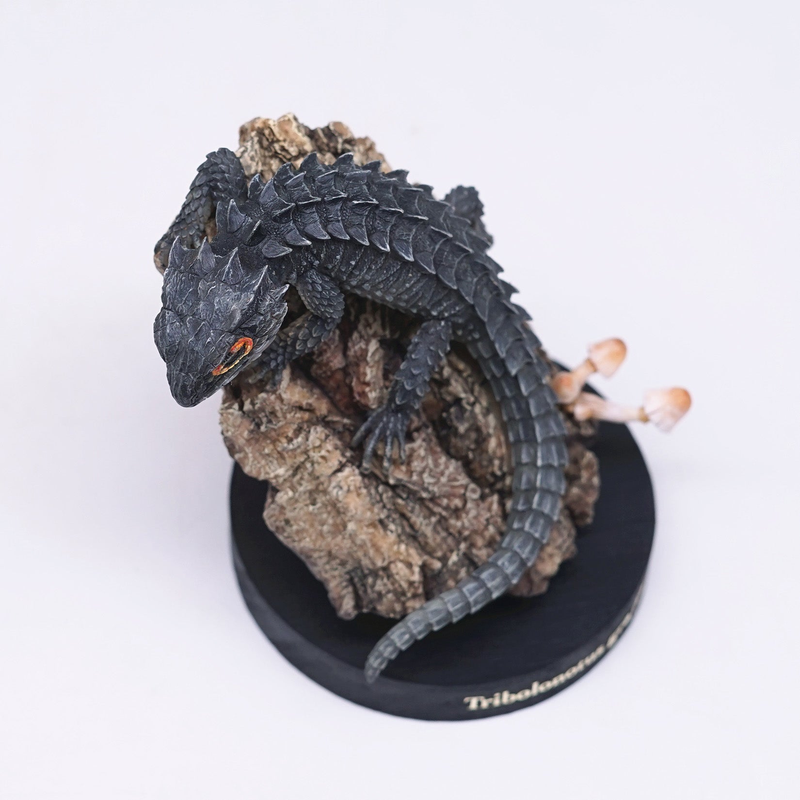 Schildkröten-Serie Tiermodell 