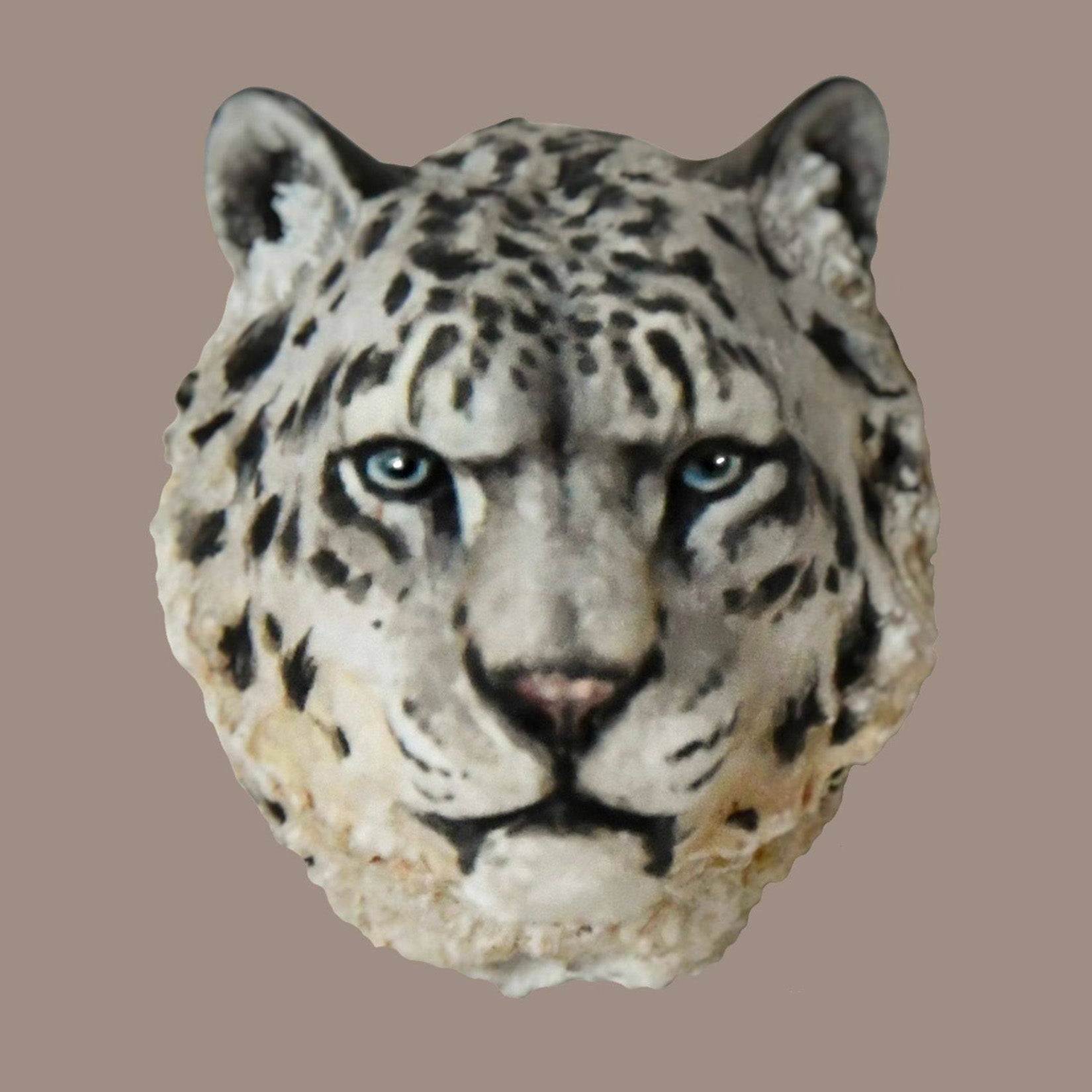 Schildkröten-Serie Tiermodell 