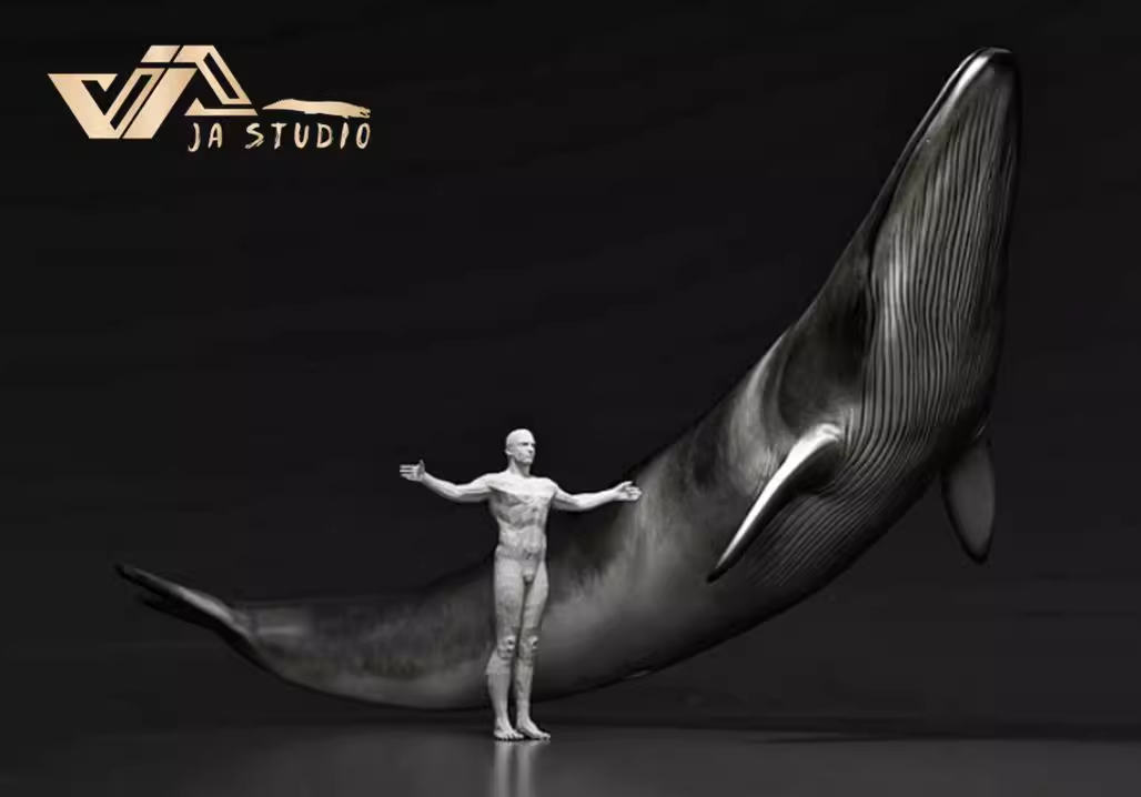 JA Studio Megalodon Hunting minke whale Model