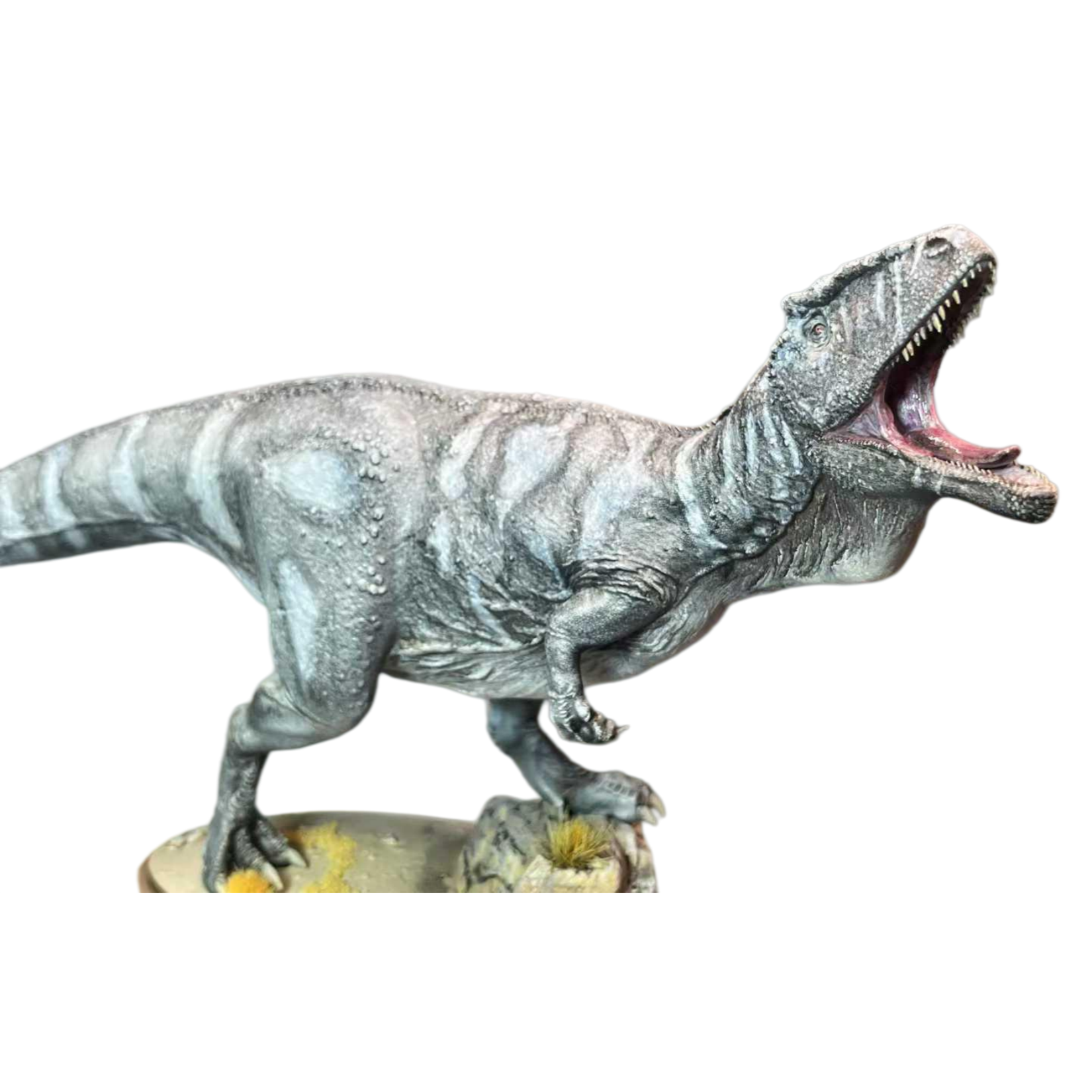 Alex Studio Carcharodontosaurus  Model