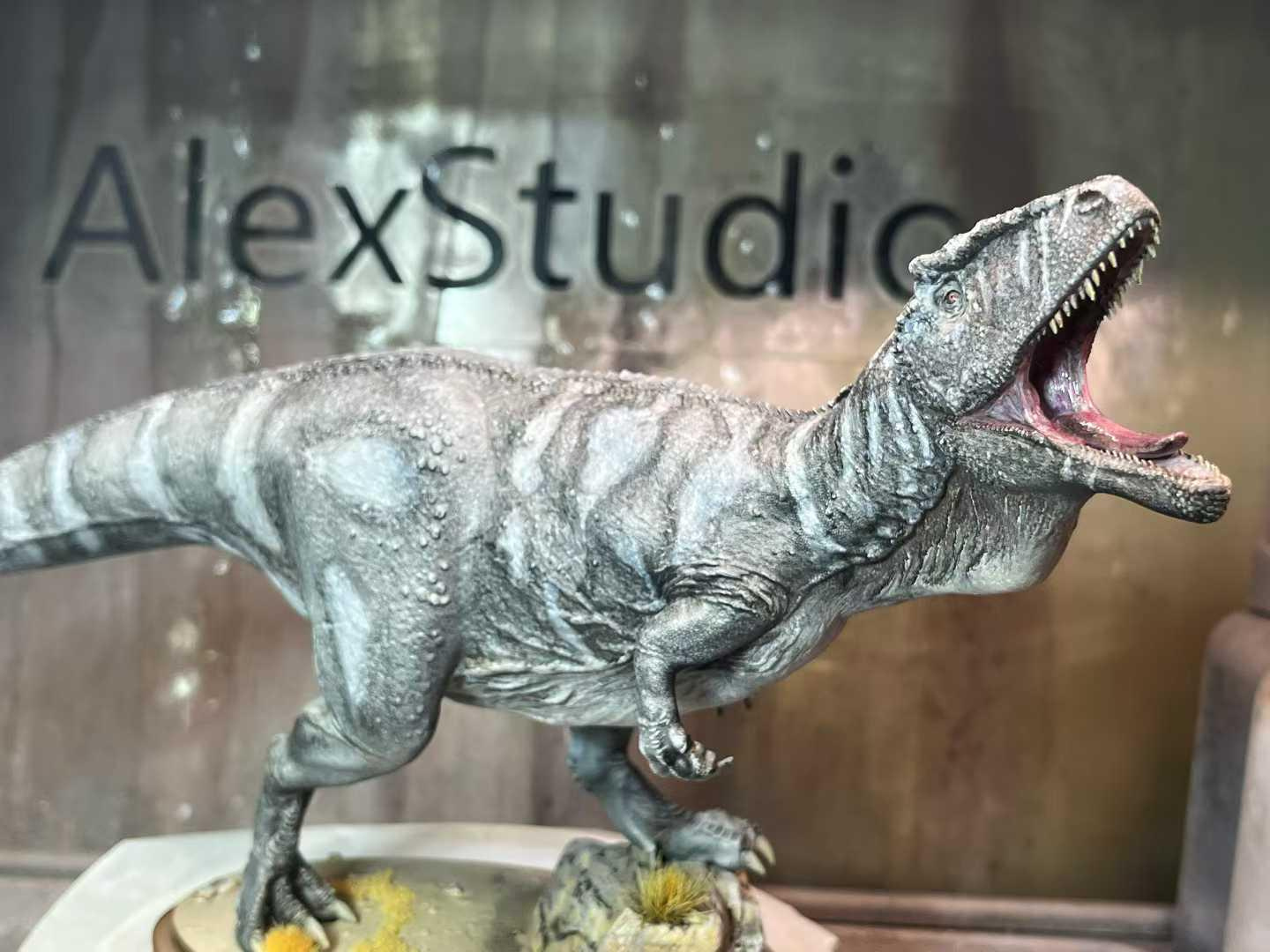 Alex Studio Carcharodontosaurus  Model