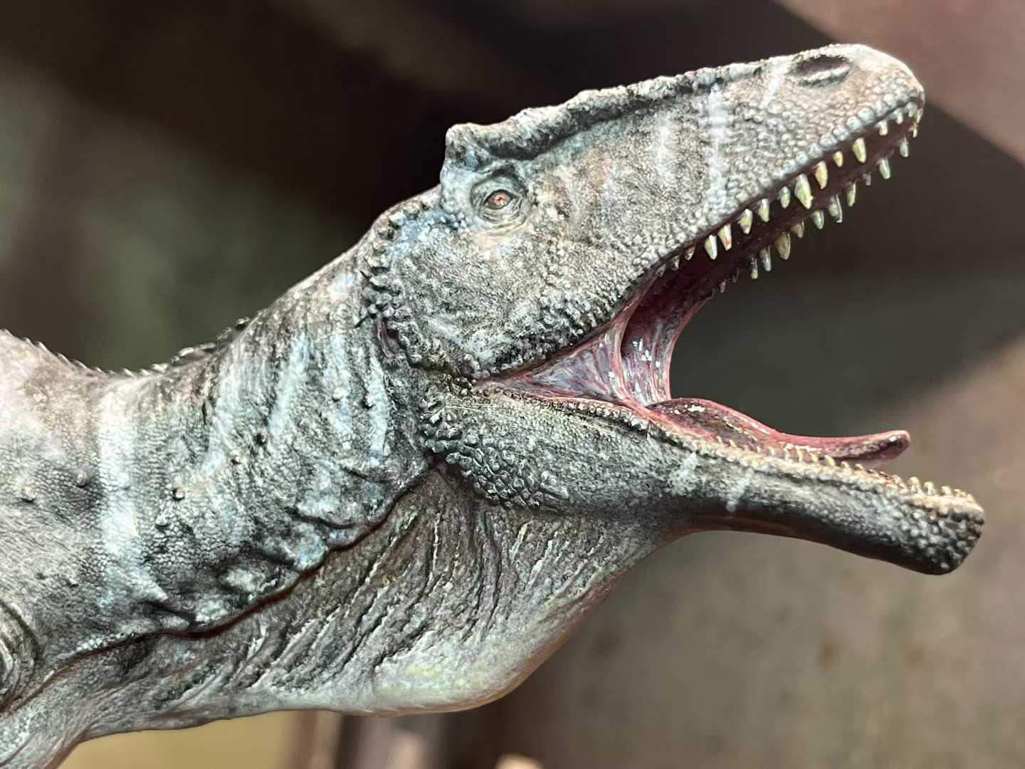 Alex Studio Carcharodontosaurus  Model