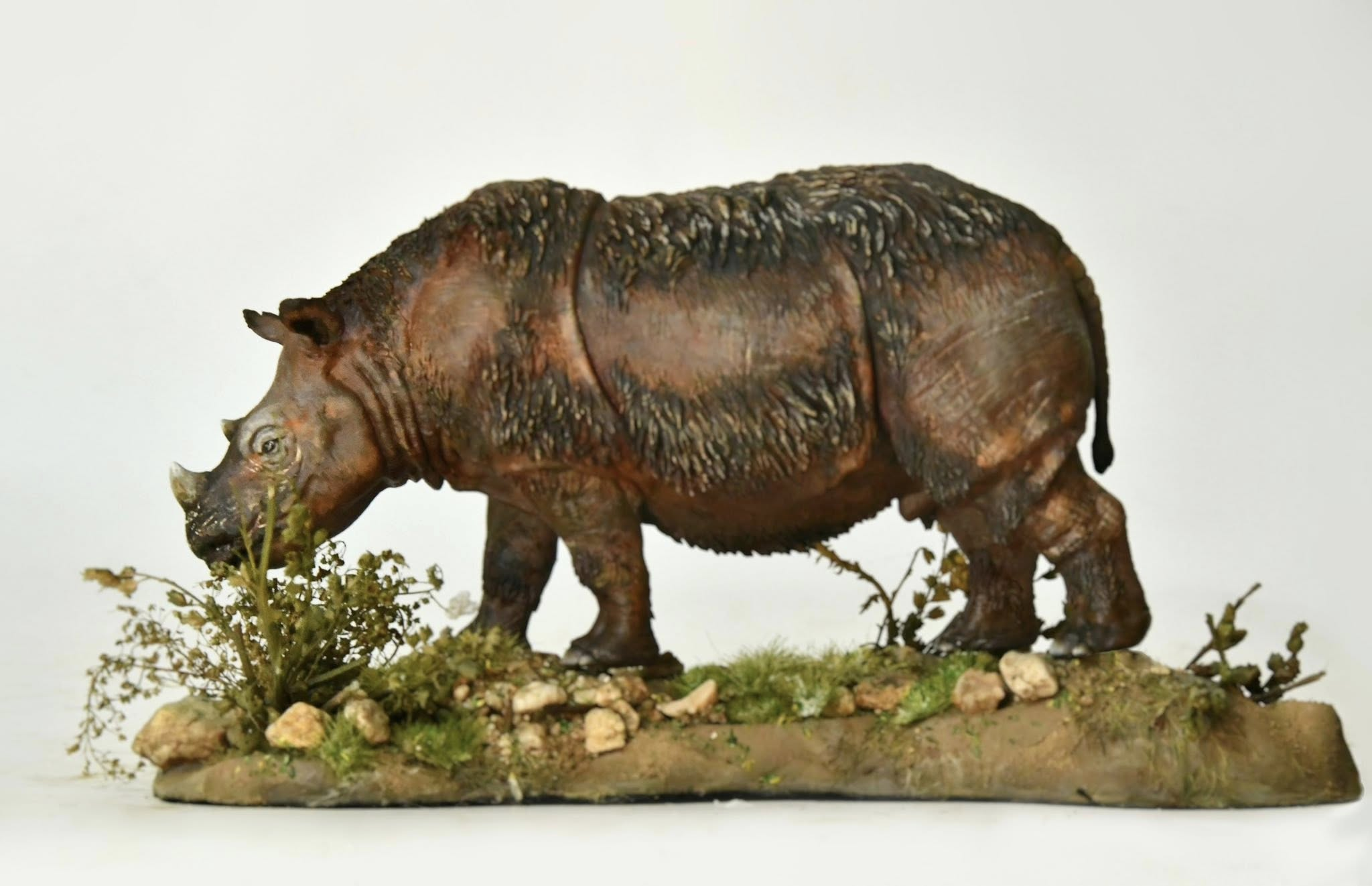 KWAN Studio Sumatran rhinoceros Model
