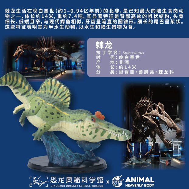 Animal Heavenly Body  Spinosaurus Model Collector