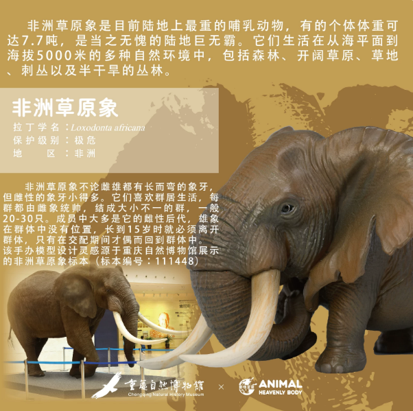 Animal Heavenly Body Dinosaur and Animal Models