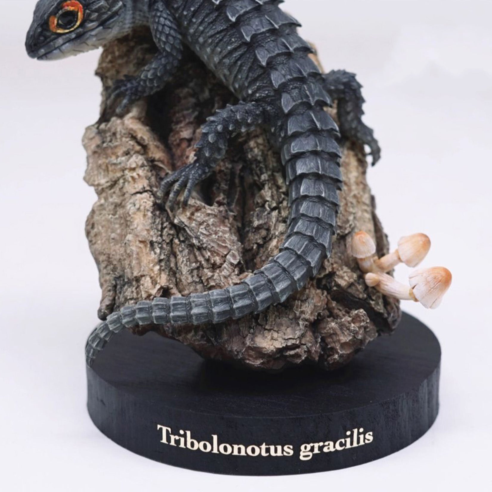 Schildkröten-Serie Tiermodell 