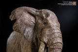 De CLAY Studio African Bush Elephant Scene Statue