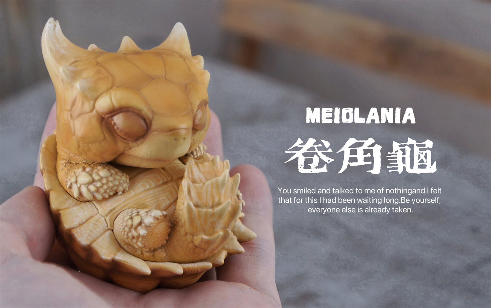 BOWUZHI Studio Sinemys gamera Meiolania Model