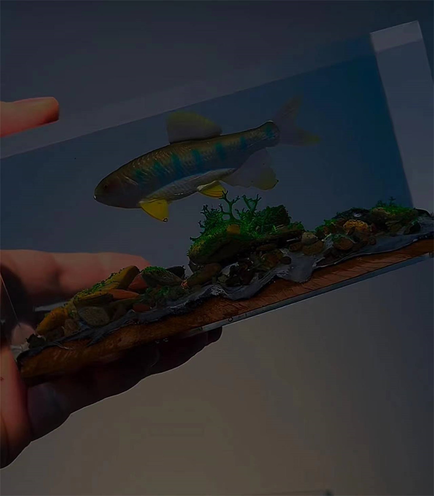 Ochetai Barbel Night Light Fish Figurine