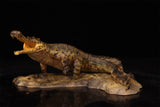 Anningpale 1:35 Scale Sarcosuchus imperator Model