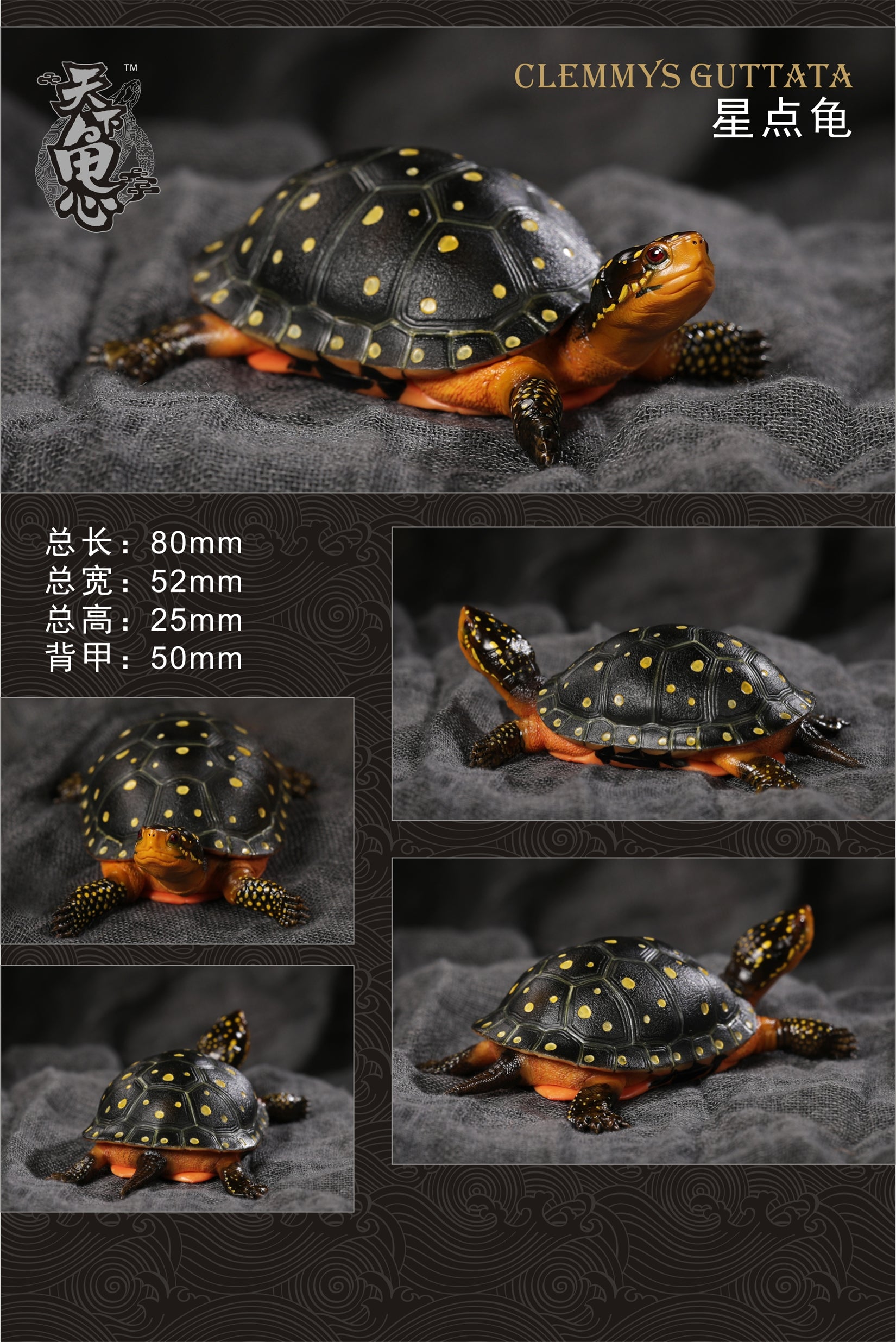 Turtle Model Series