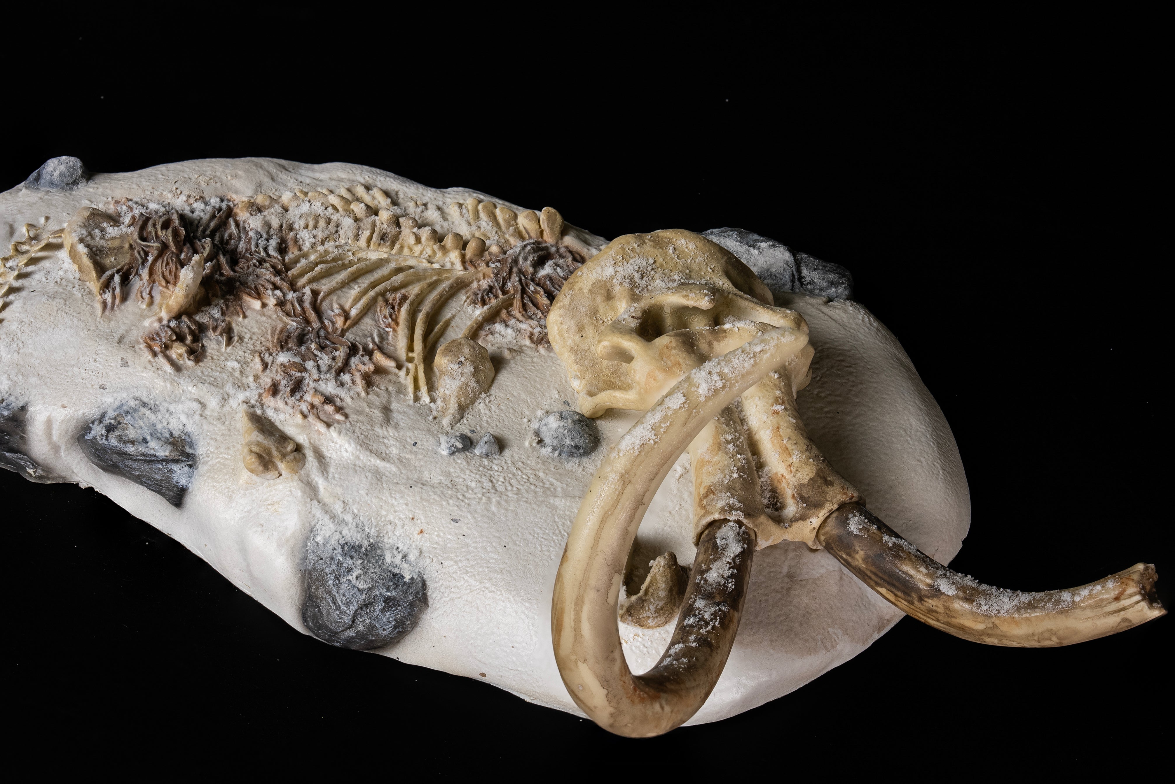 De CLAY Studio Woolly mammoth Model