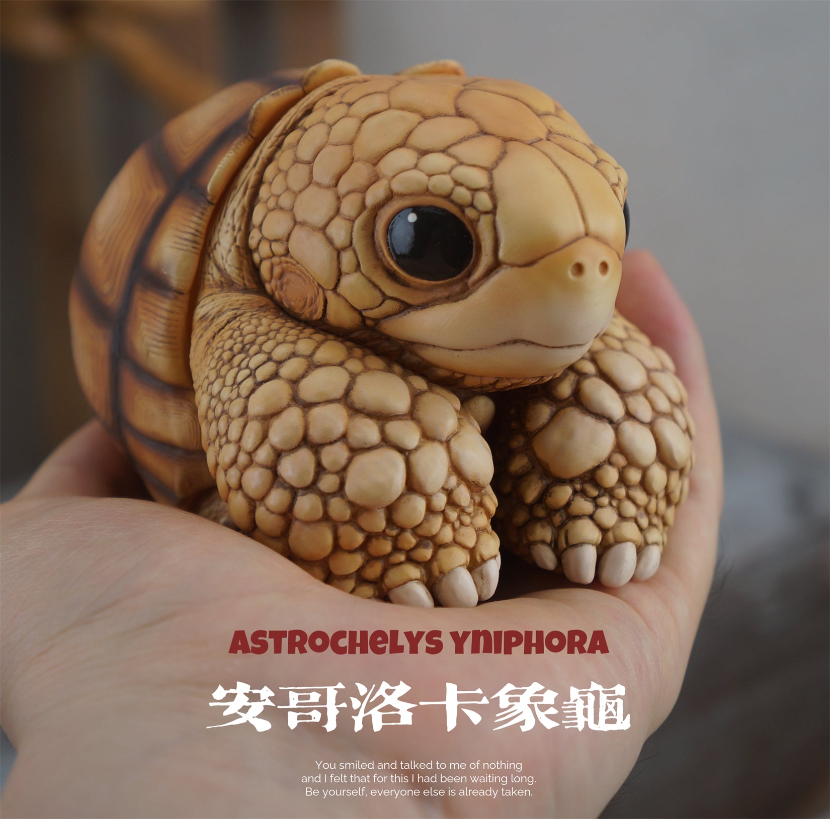 Common Snapping Turtle‌ & Ploughshare Tortoise‌ Figure