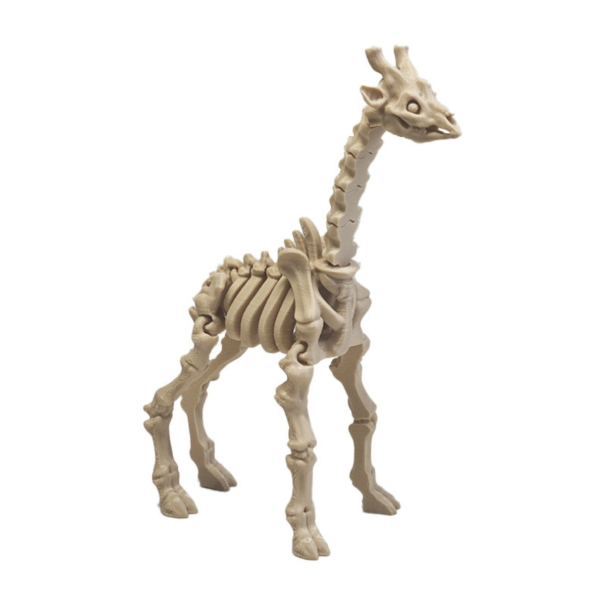 3D Printed African Animal Skeleton Articulated Figure