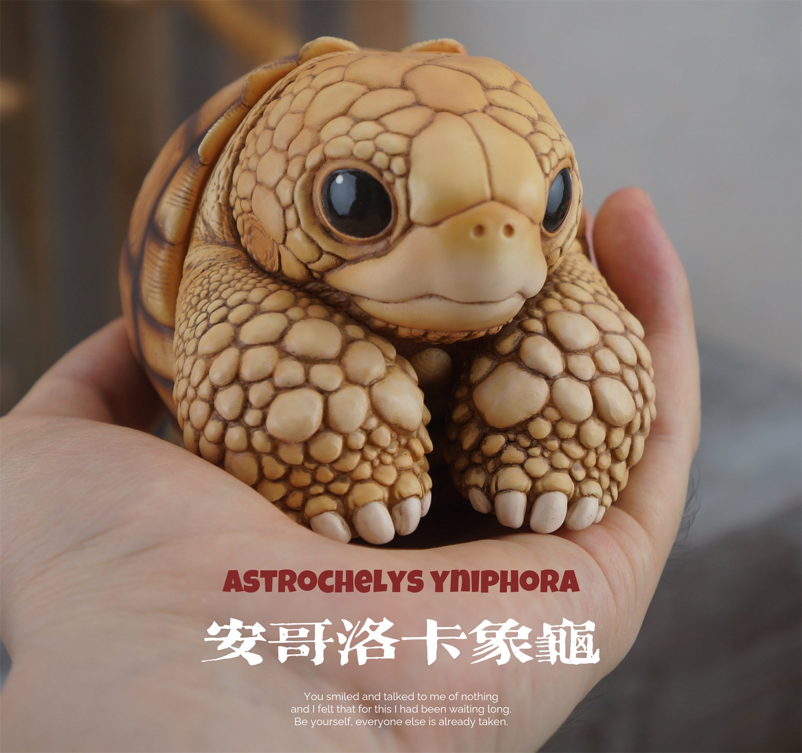 Common Snapping Turtle‌ & Ploughshare Tortoise‌ Figure