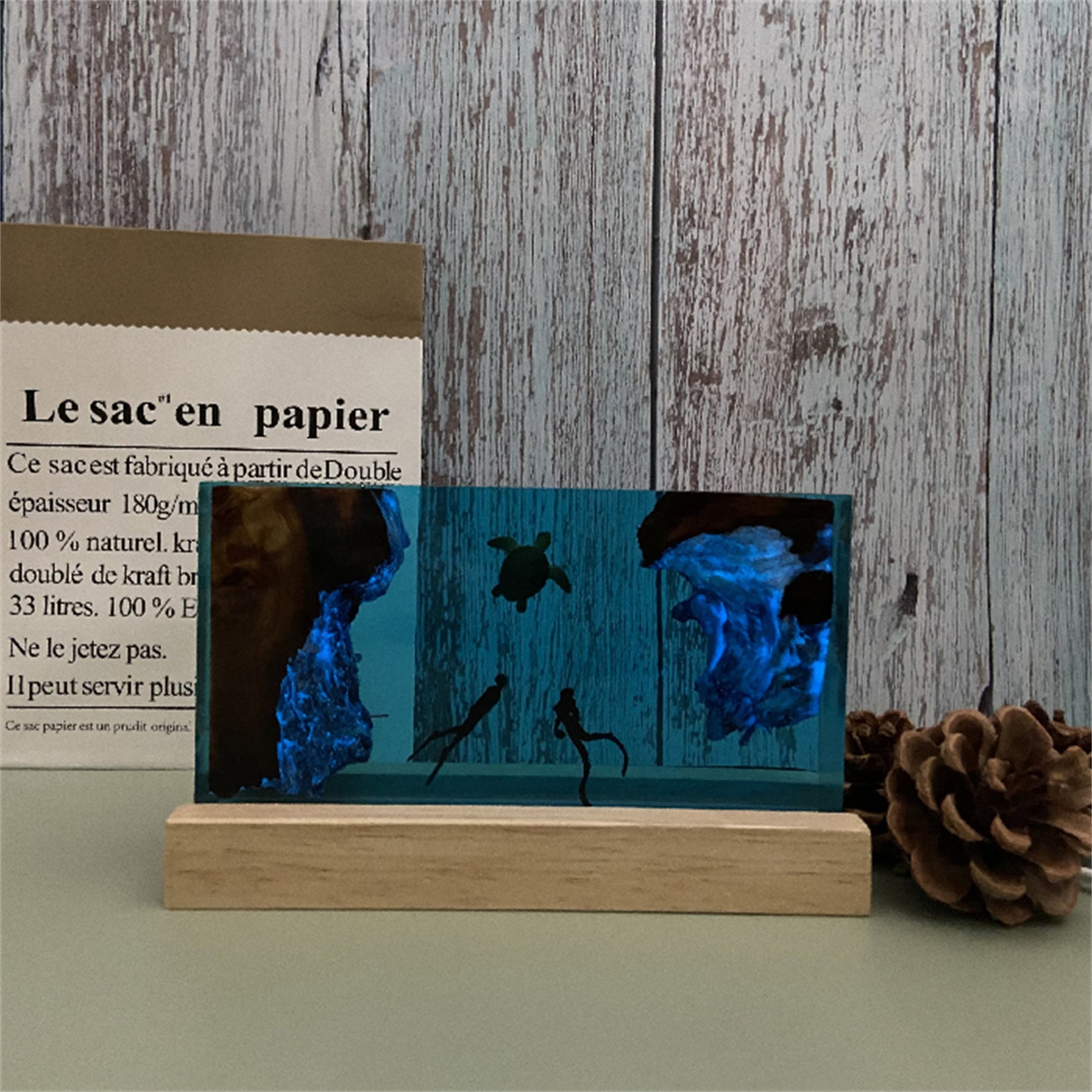 Marine Diver  Sea Turtle Nightlight Decor