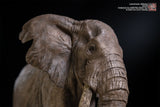 De CLAY Studio African Bush Elephant Scene Statue