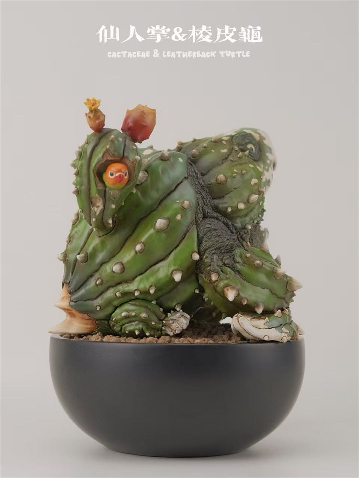 BOWUZHI Studio Caudiciform Monster World Model