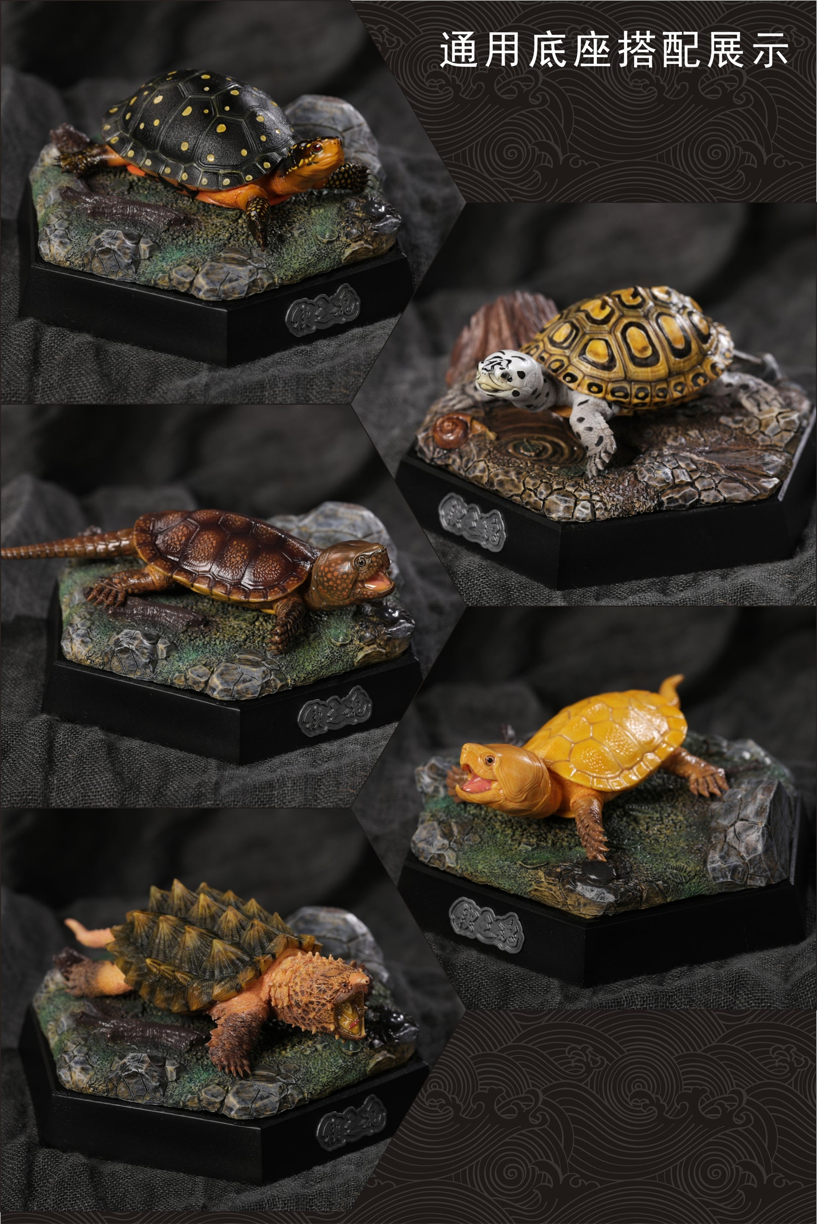Turtle Model Series