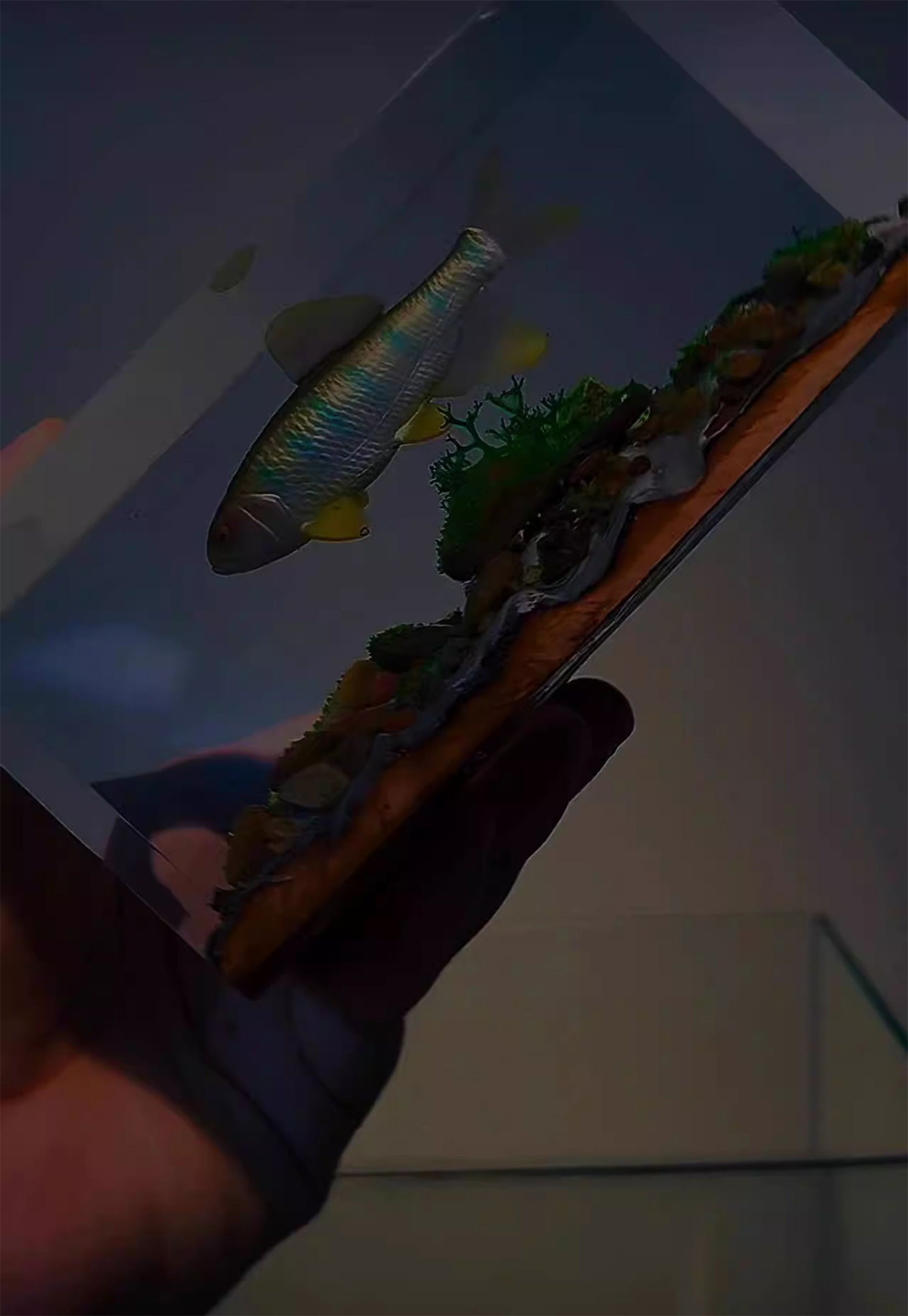 Ochetai Barbel Night Light Fish Figurine