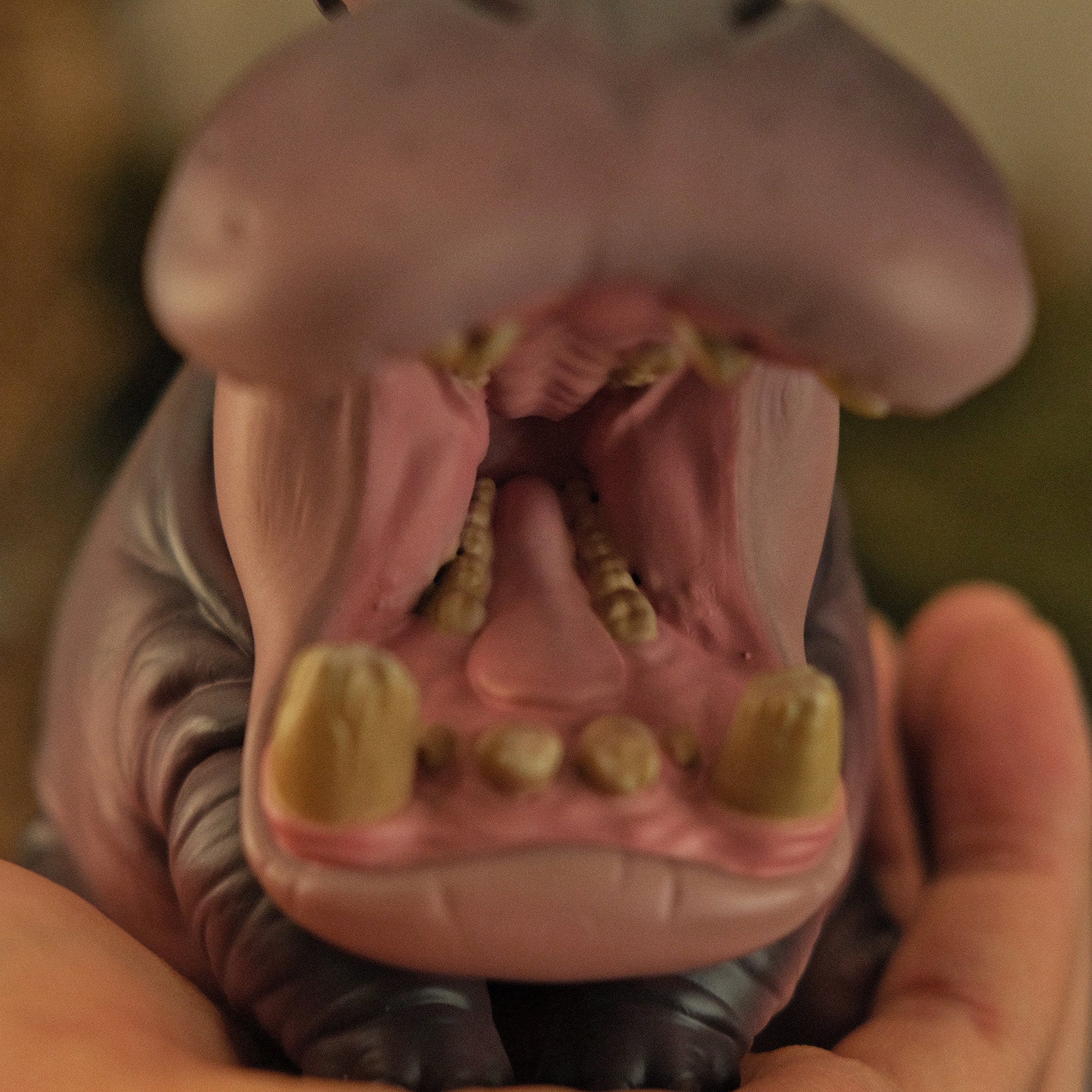 BOWUZHI Studio Hippo Zebra Model