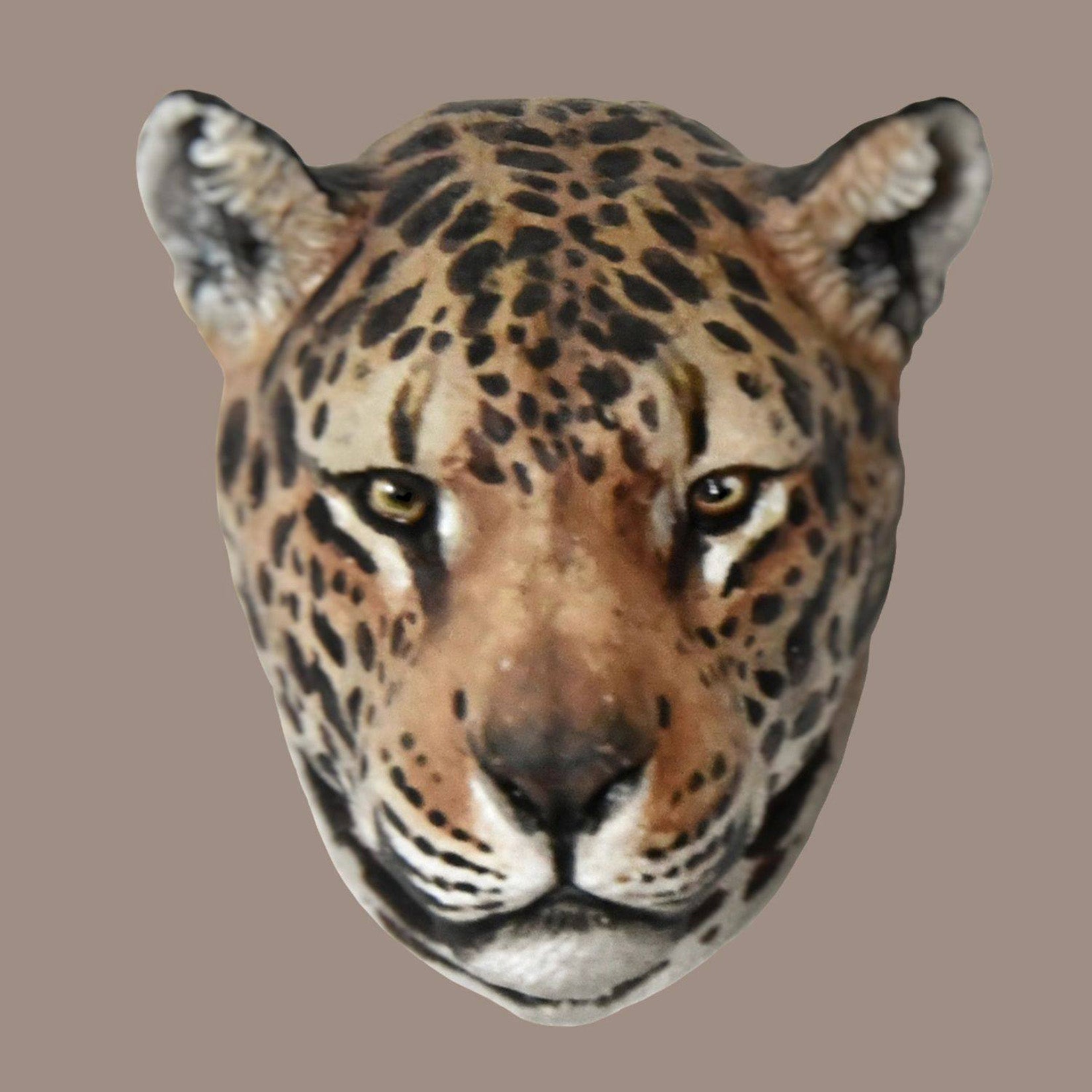 Schildkröten-Serie Tiermodell 