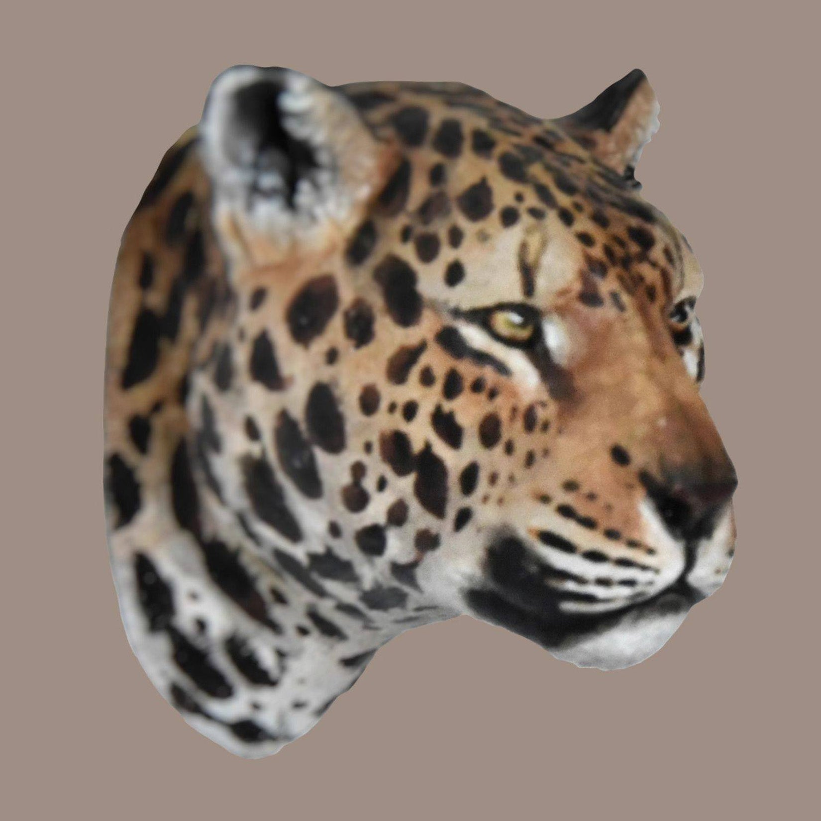 Schildkröten-Serie Tiermodell 