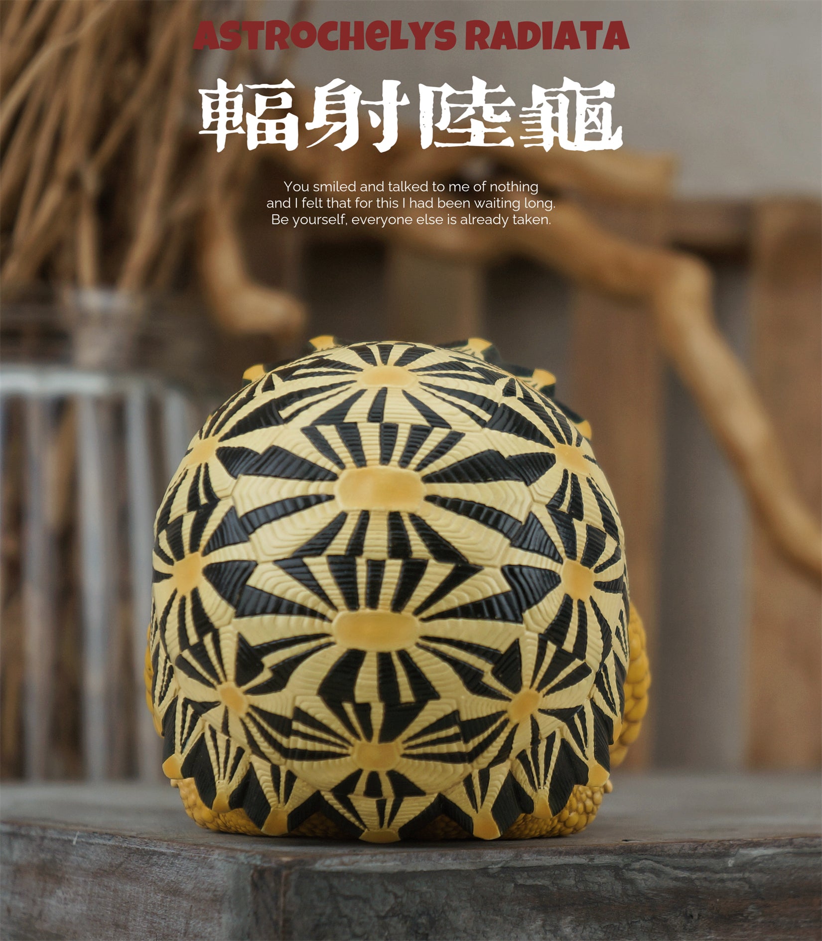 Turtle Series  Animal Model