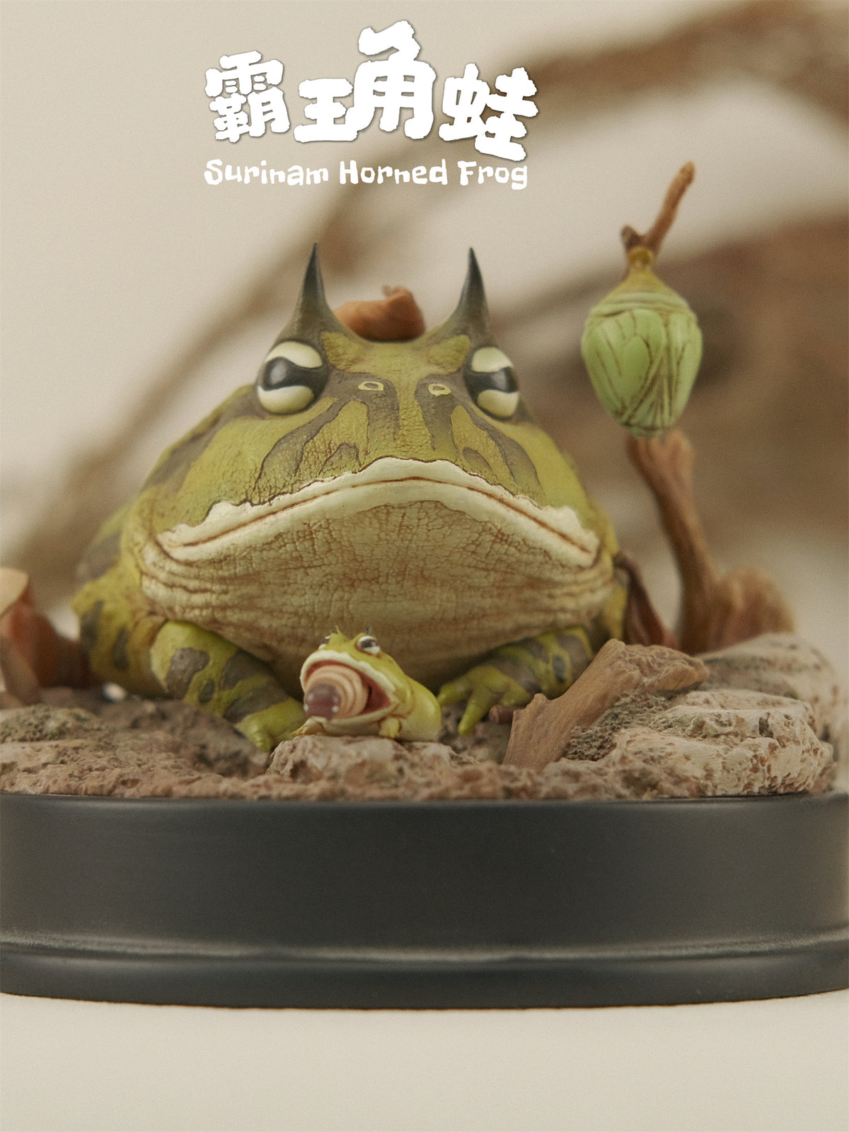 Bowuzhi Studio Limited Edition Surinam Horned Frog Scene Model